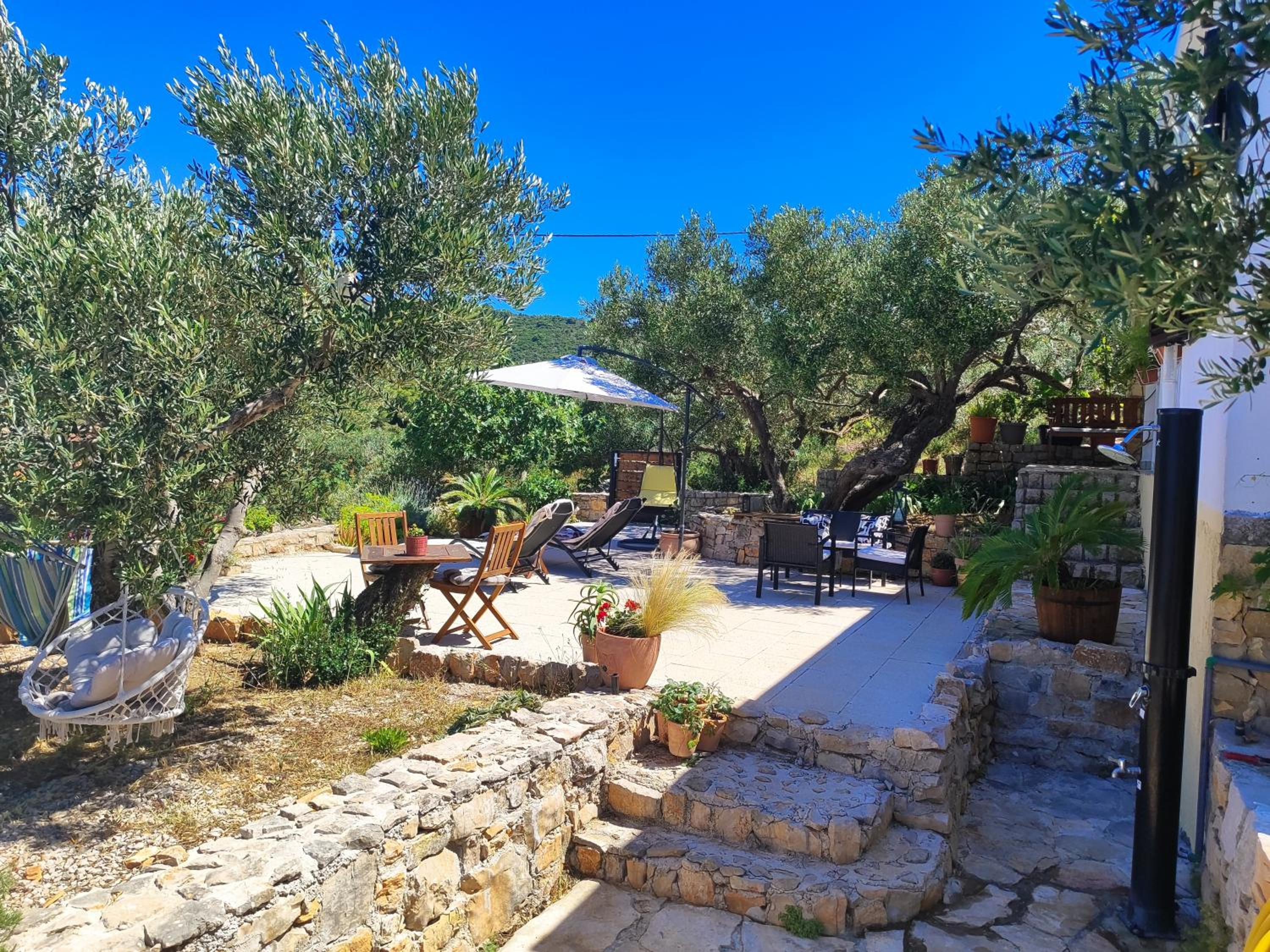 Weekend house Olive garden photo 5