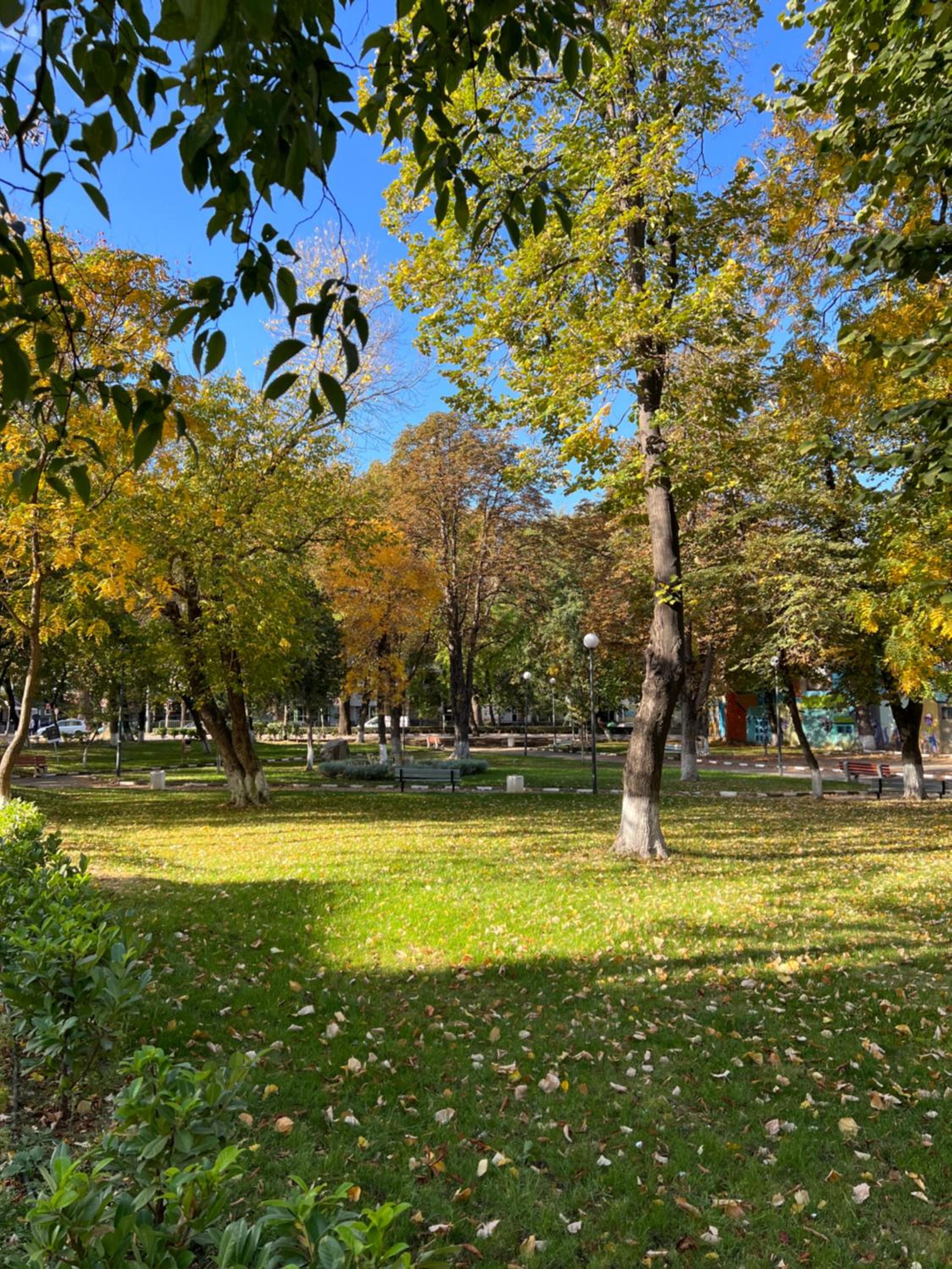 GREEN PARK Apartments and rooms for guests