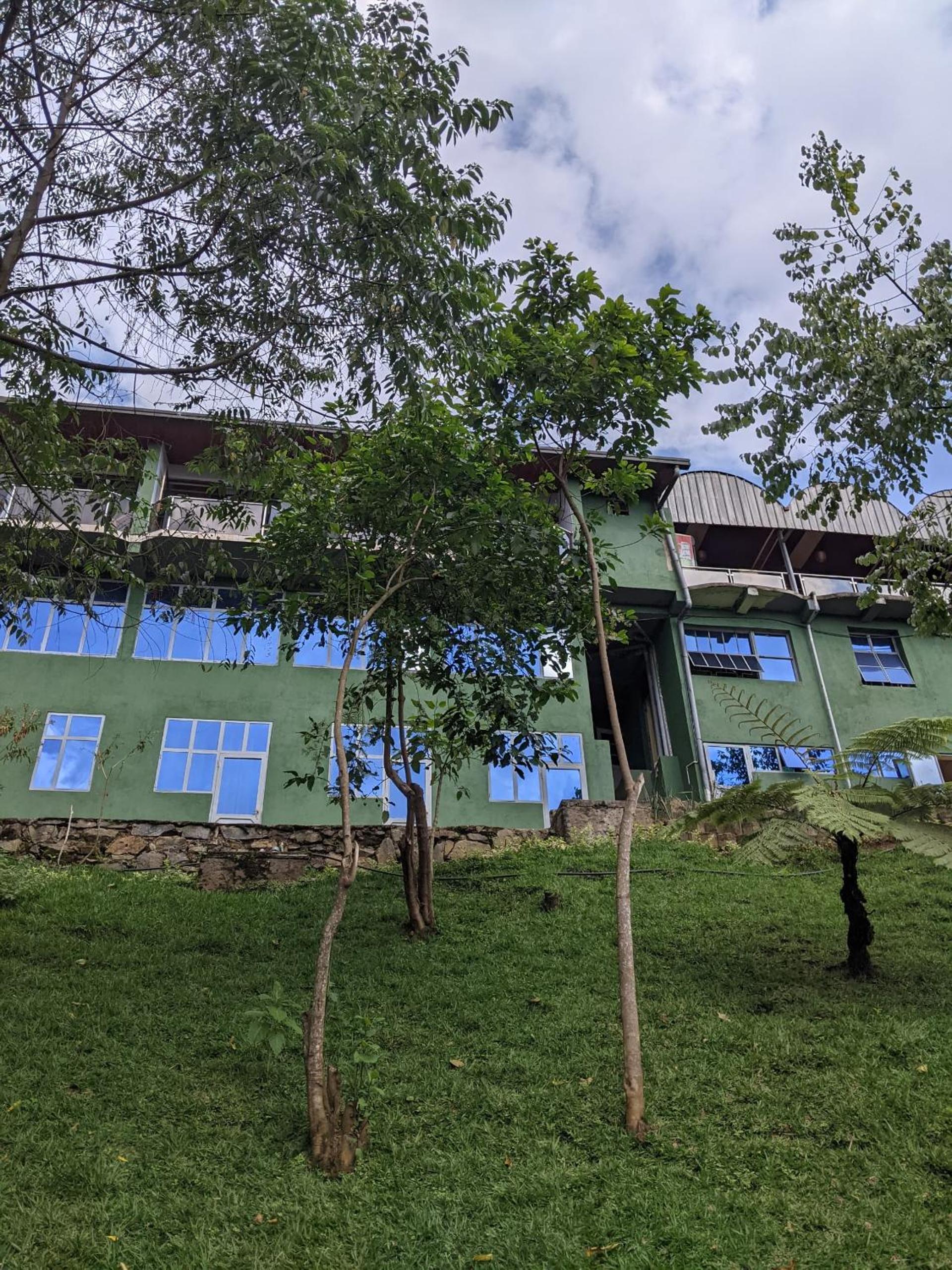 Chimpanzee Lodge view 3
