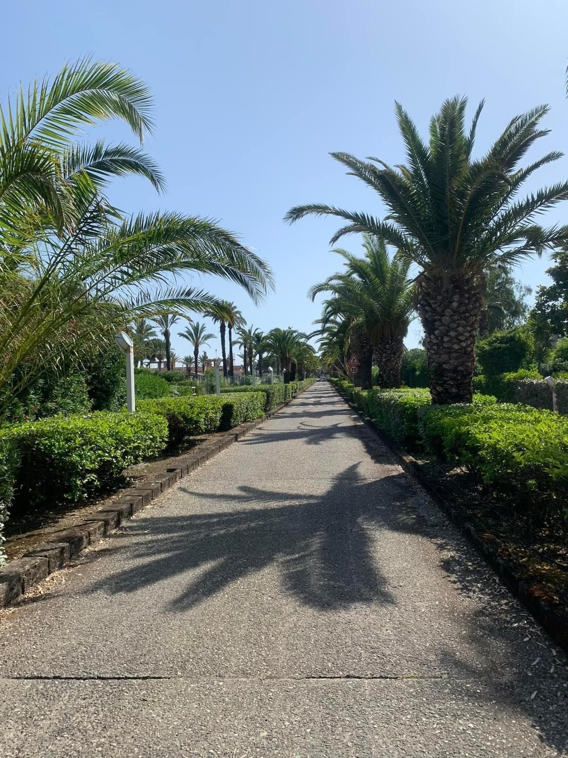 Apartament Marii