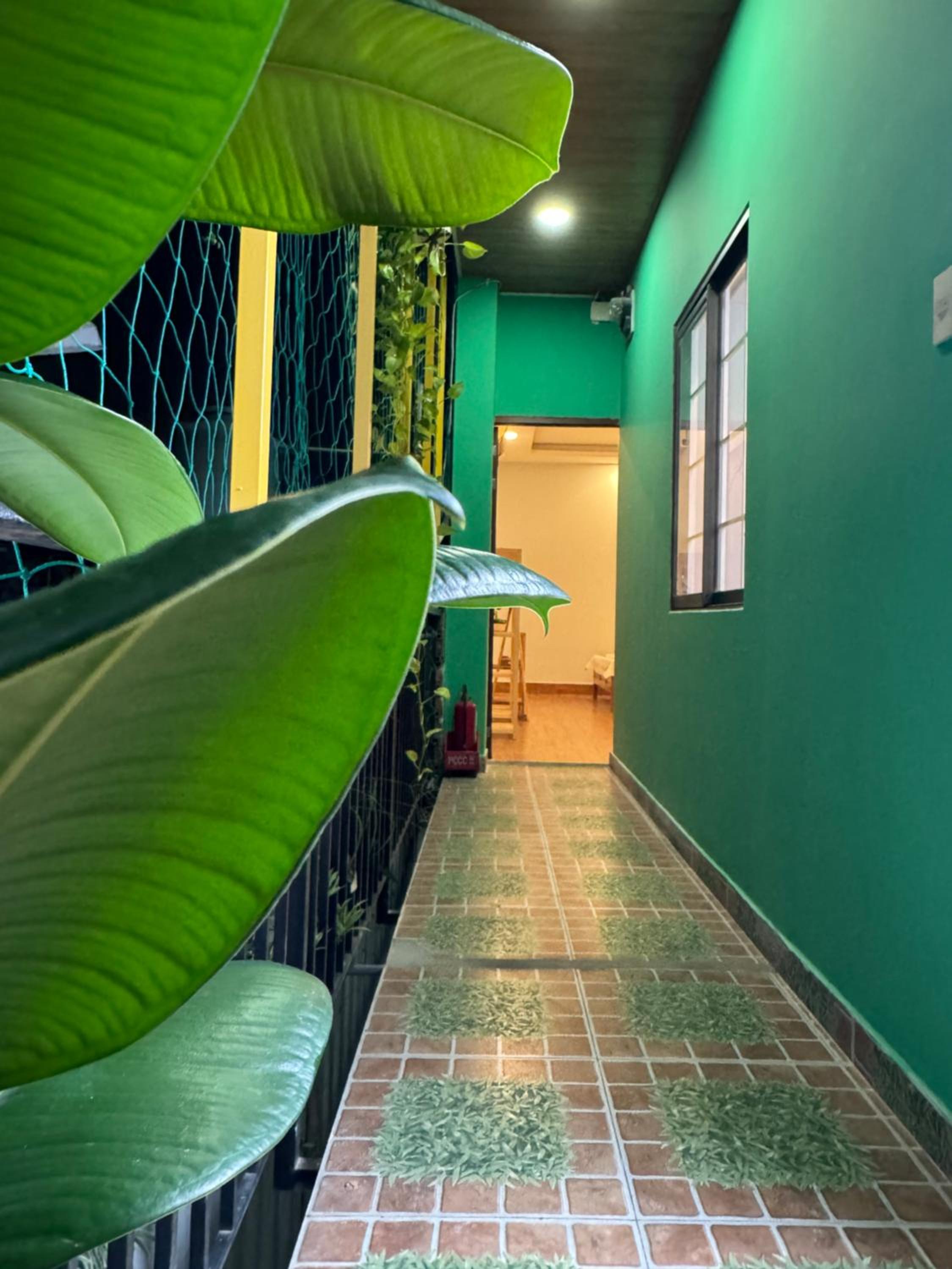 Vania House HoChiMinh