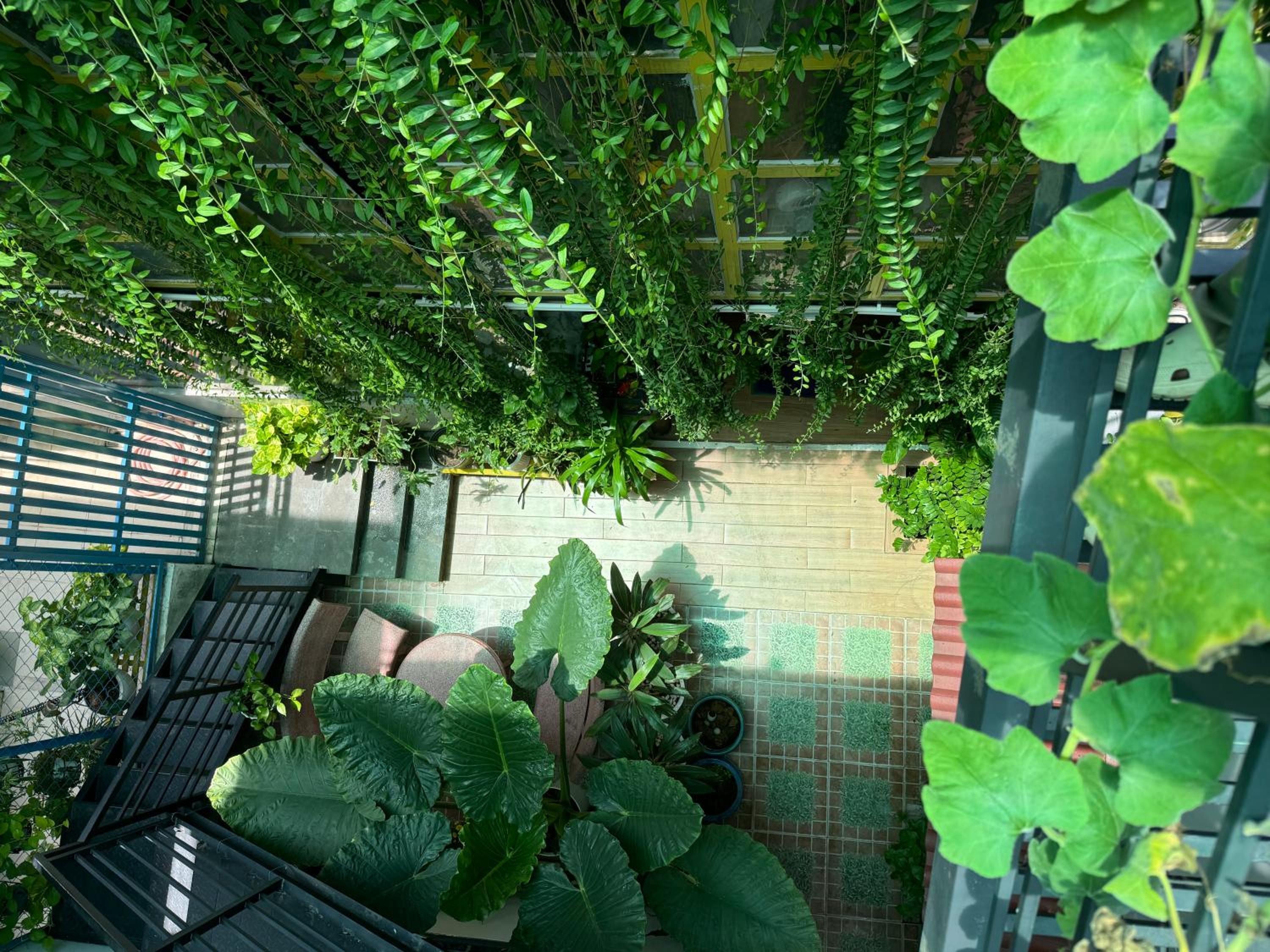 Vania House HoChiMinh