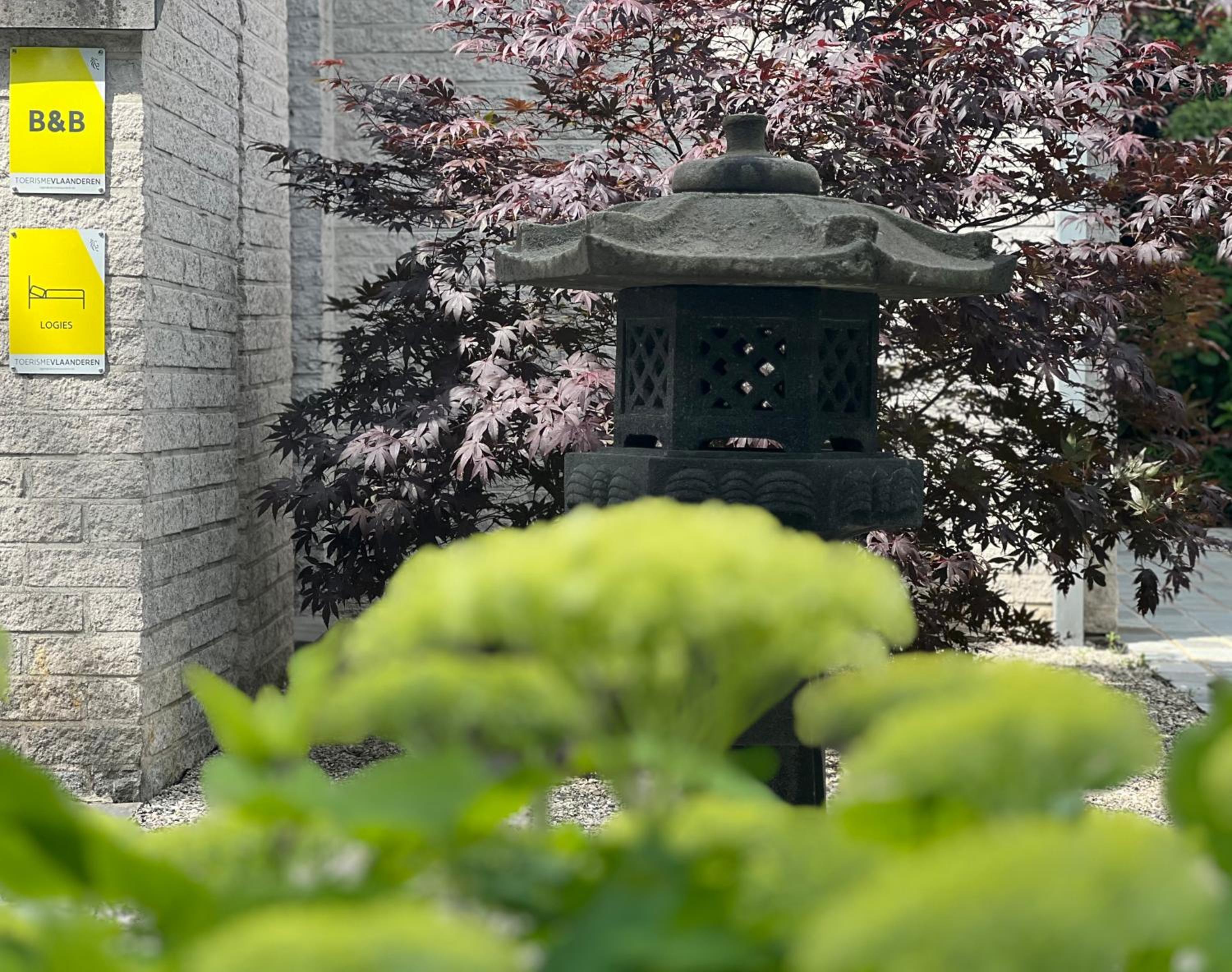 Ikigai B&B - wellness