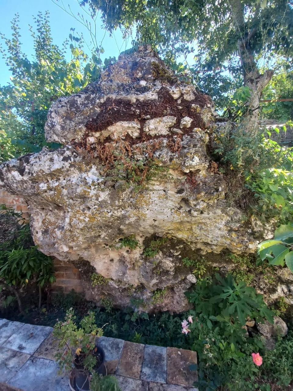Rock Mountain House