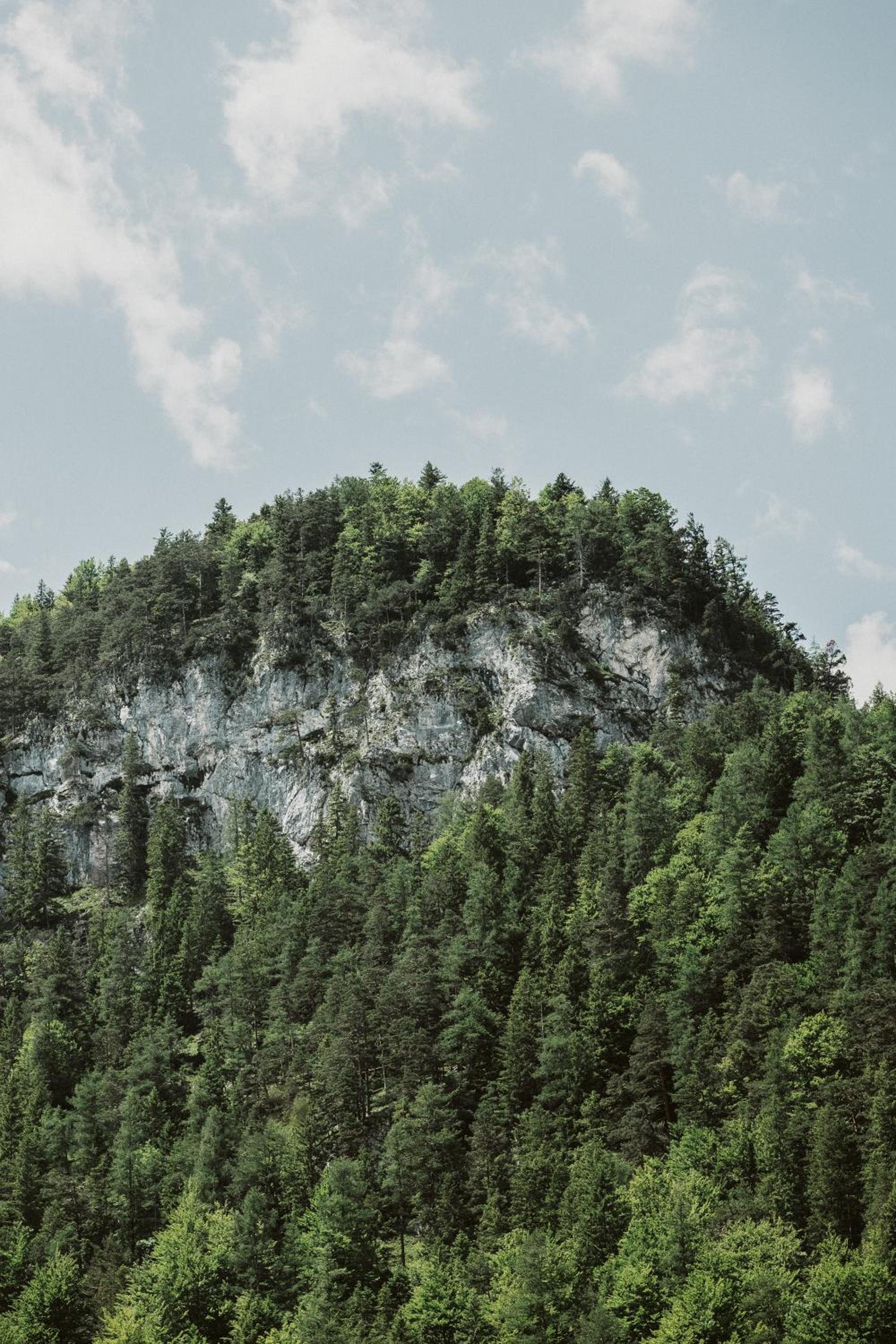 Lebe`scharnitz - am Seefelder Plateau