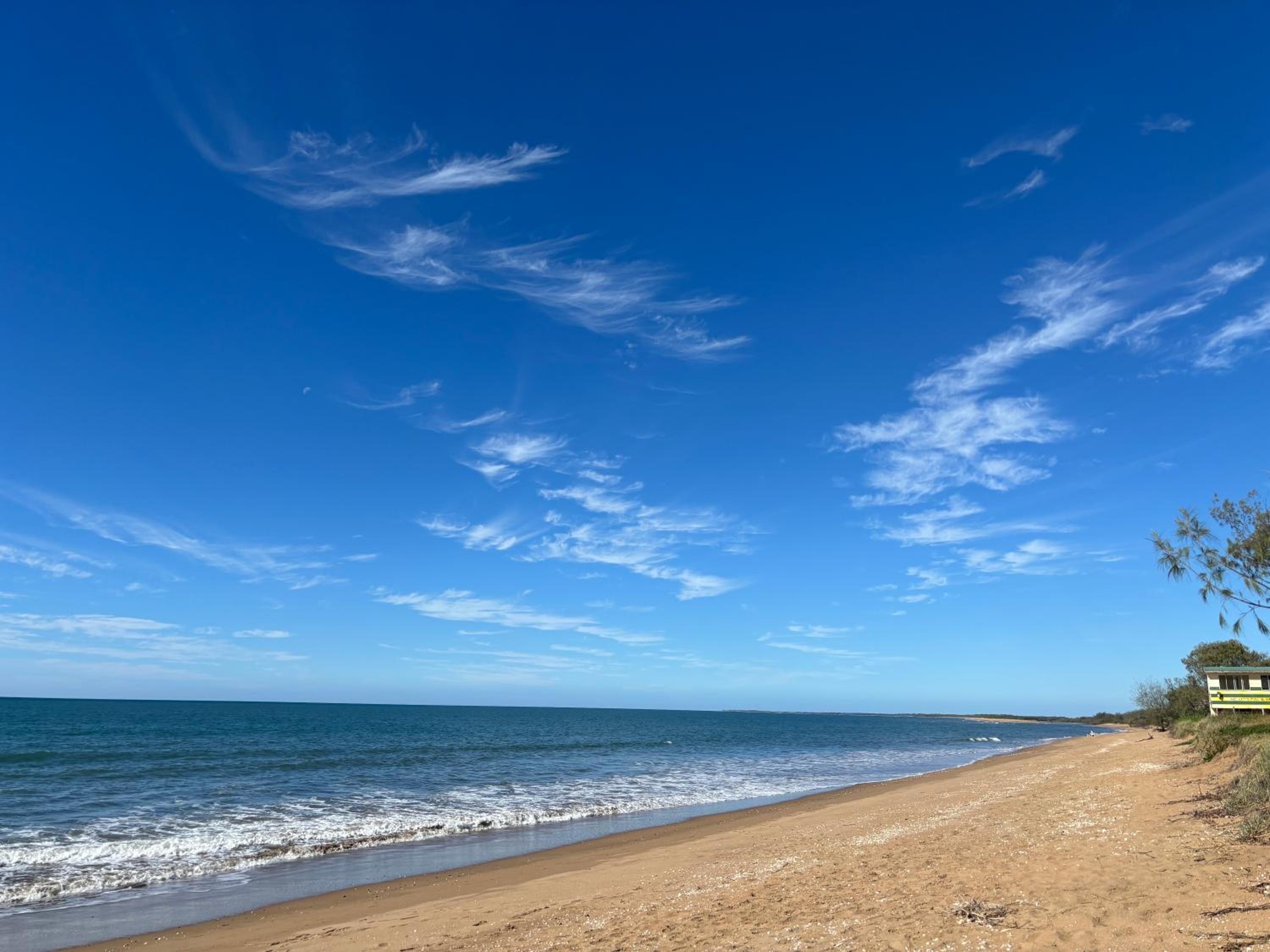Moore Park Beach Gardens-walk to the beach