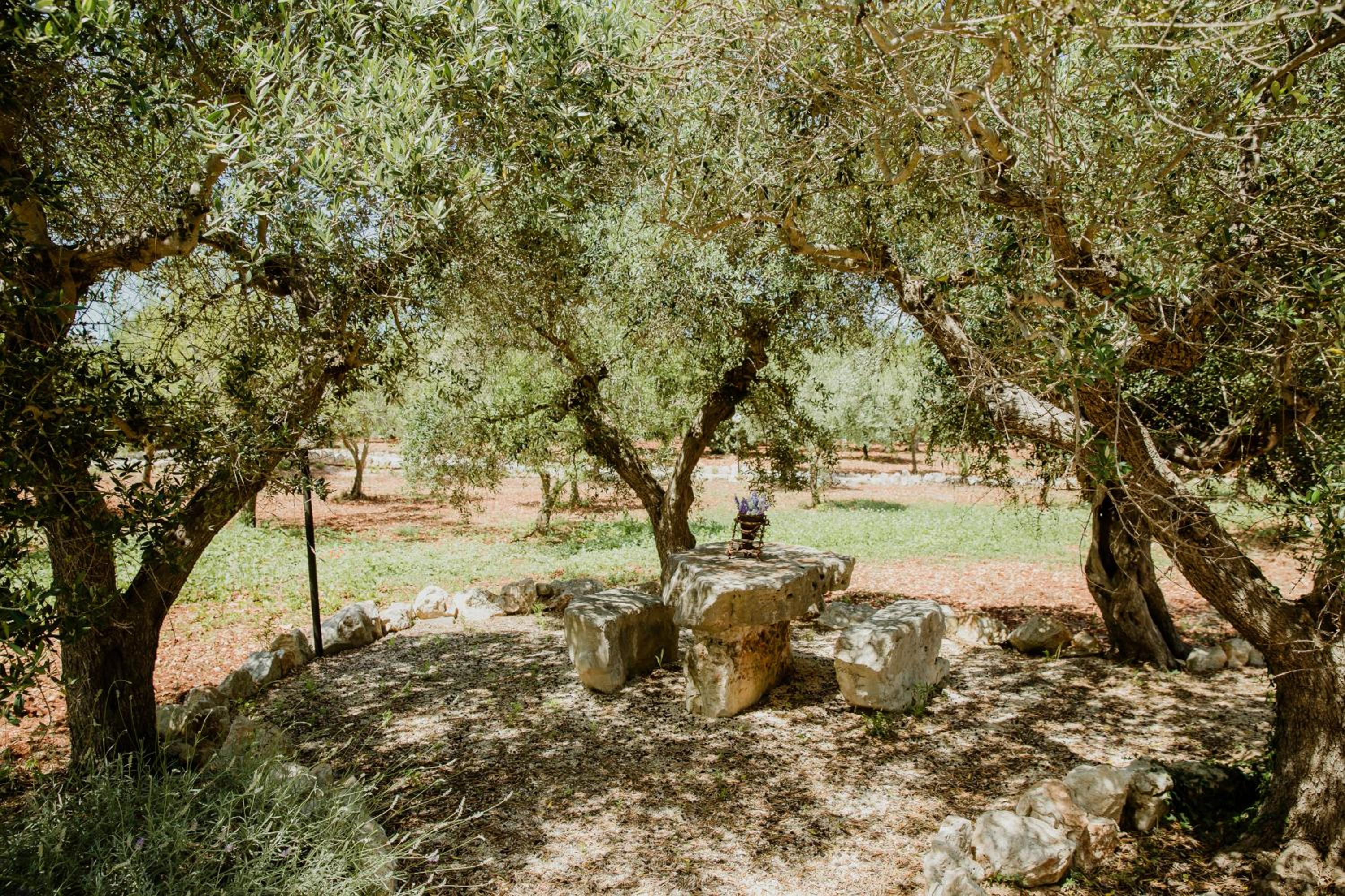 Photo 45