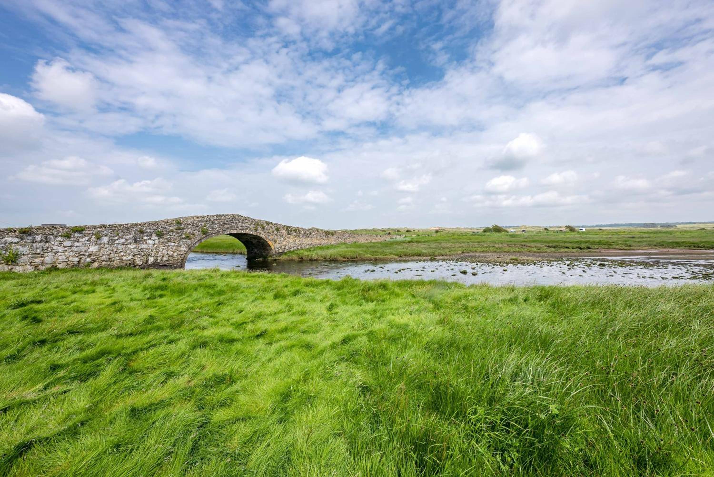 Llywelyn-Fawr
