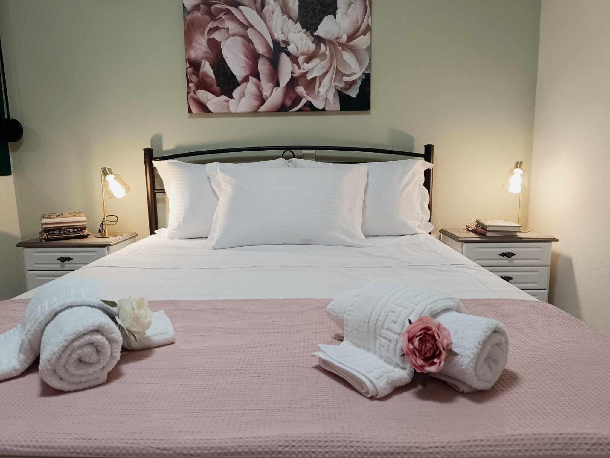 Cactus Oasis photo 2