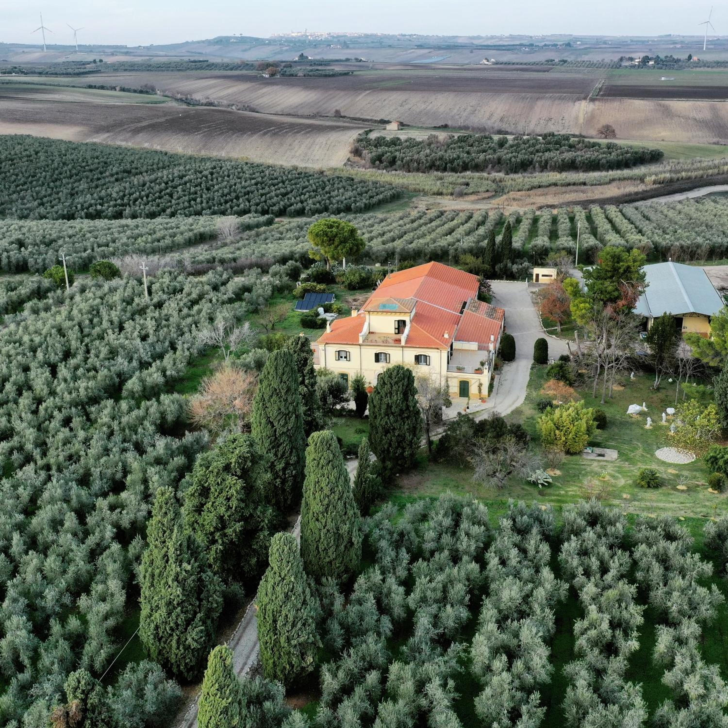 Colonna Country Home