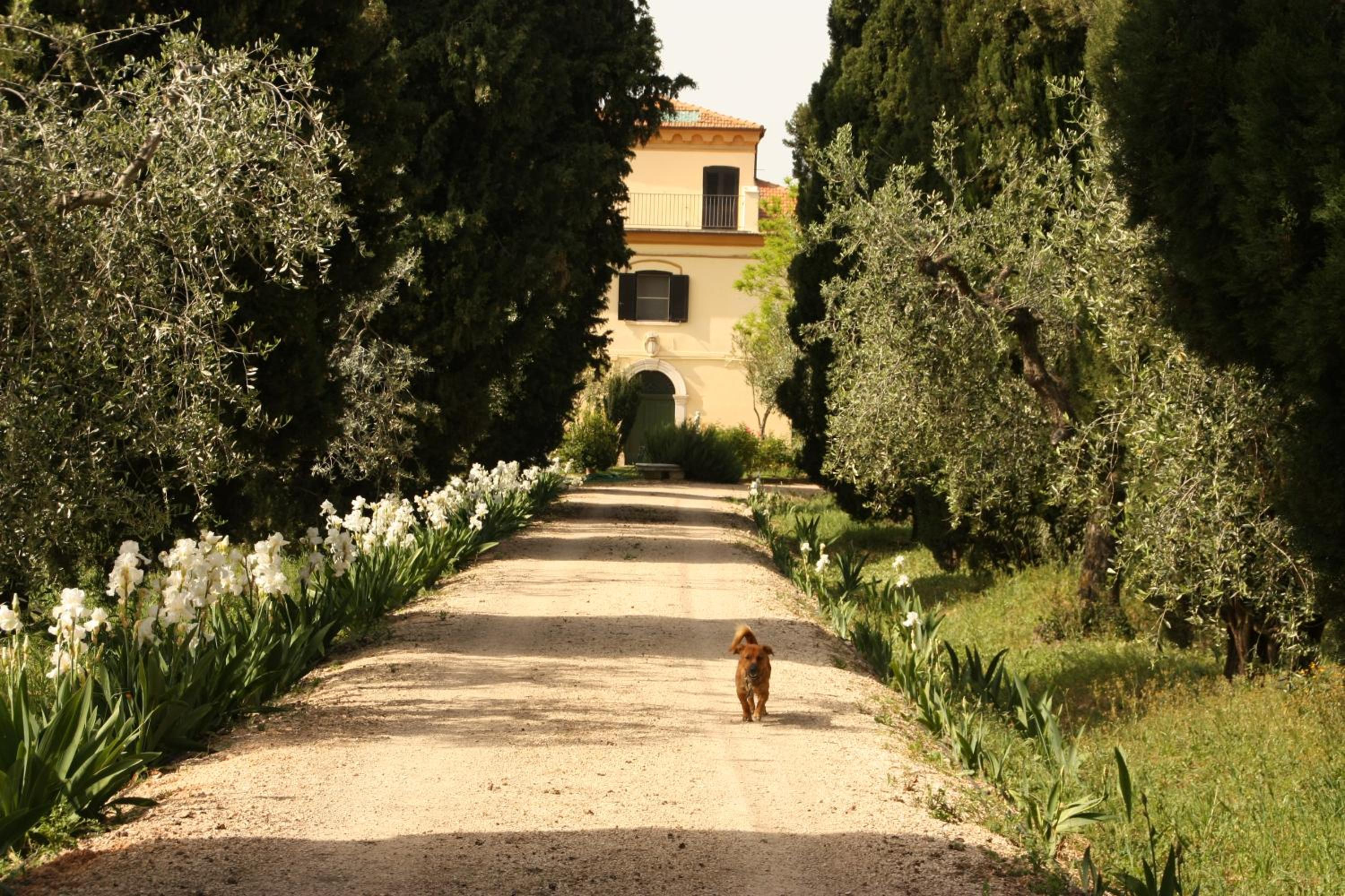 Colonna Country Home