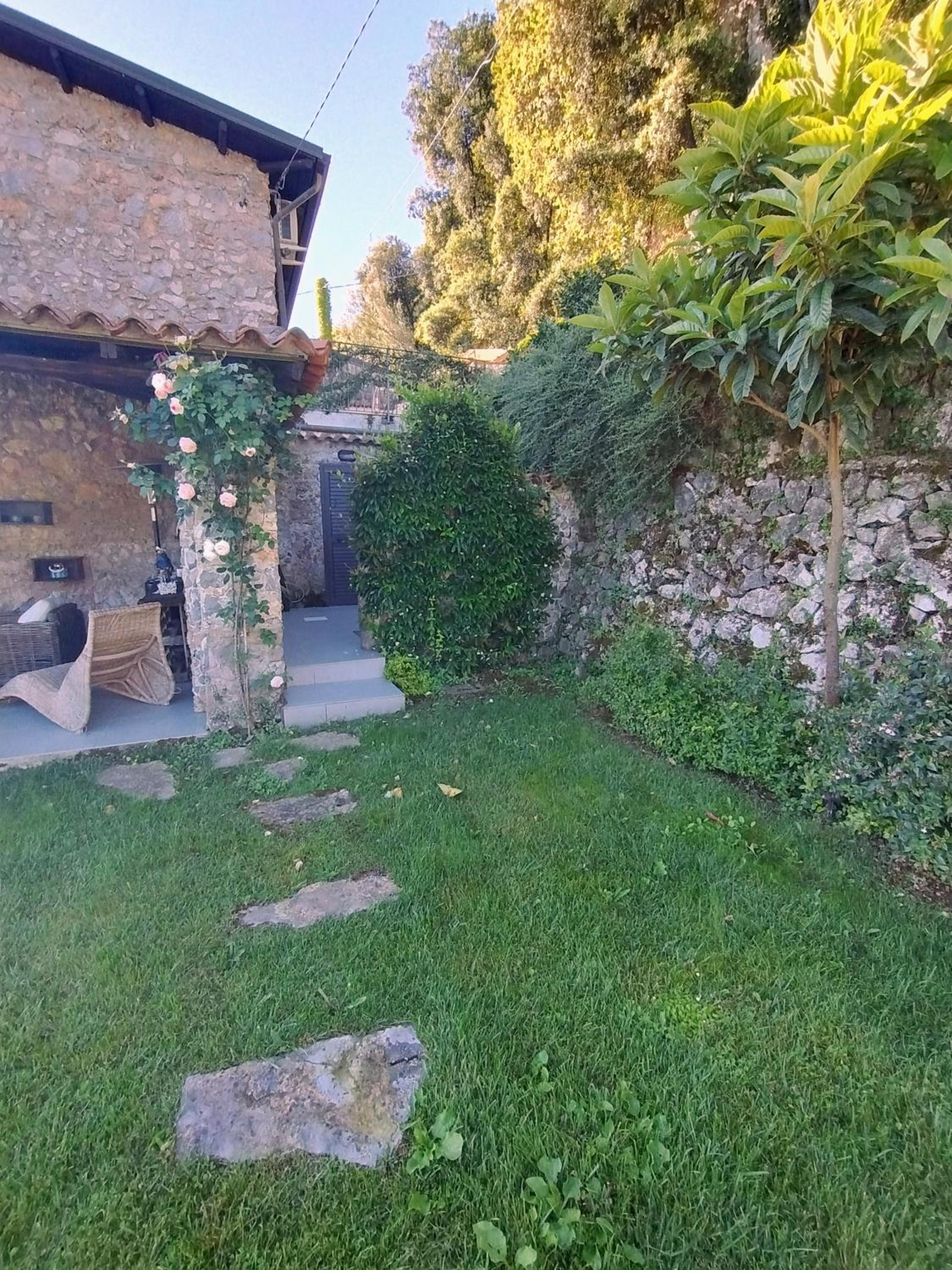 Photo 51