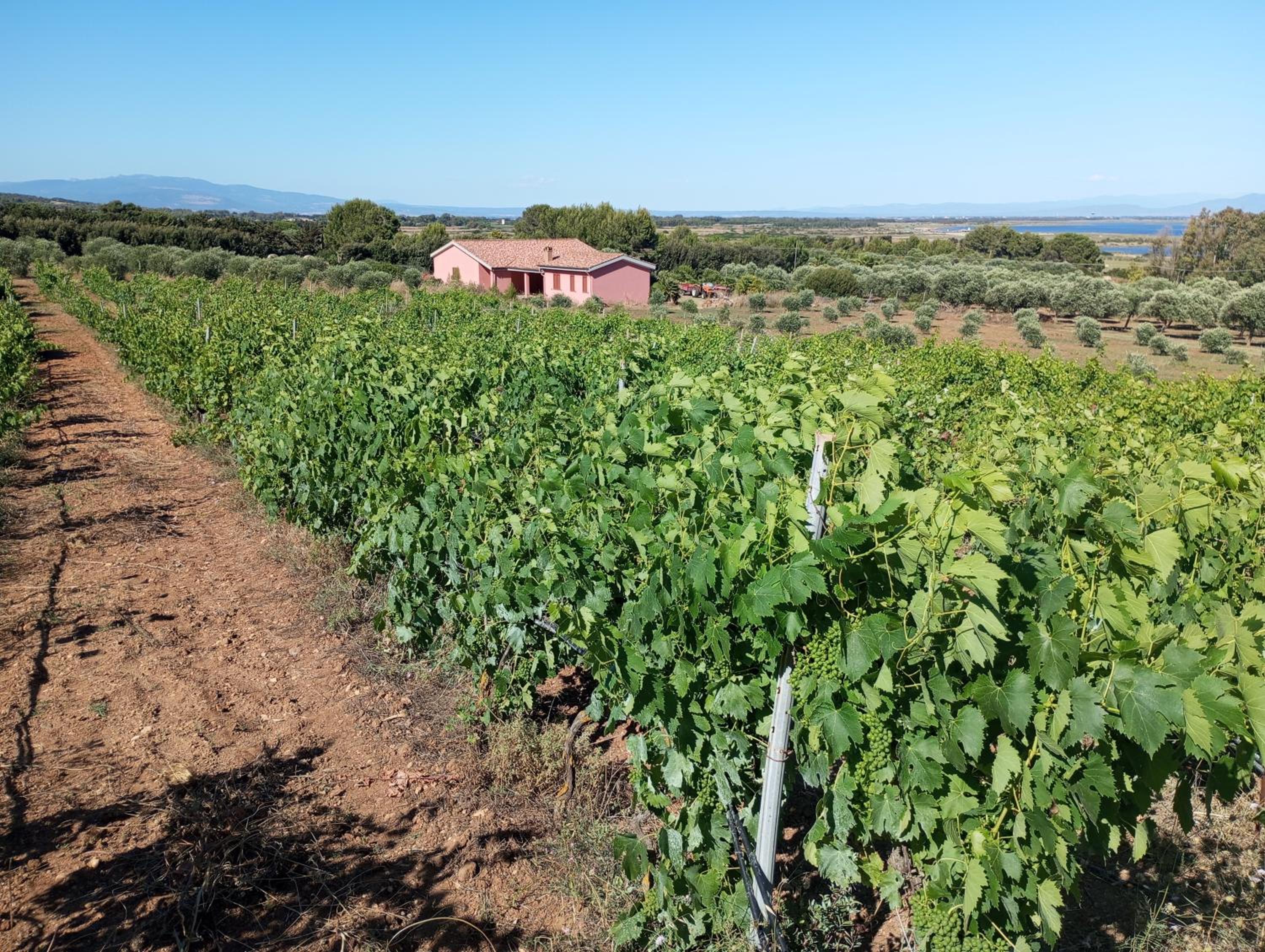 Agriturismo Sannoranna