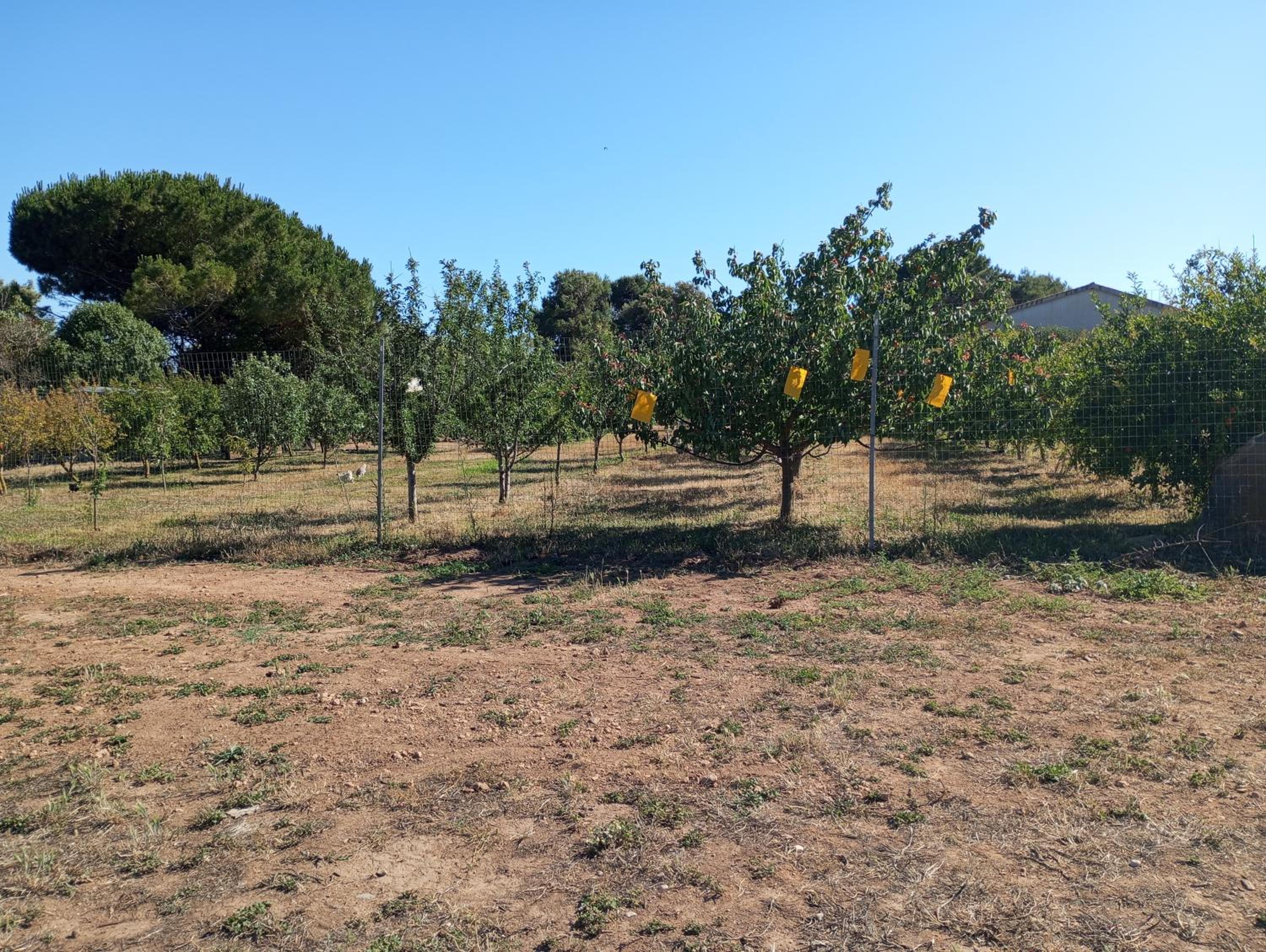 Agriturismo Sannoranna