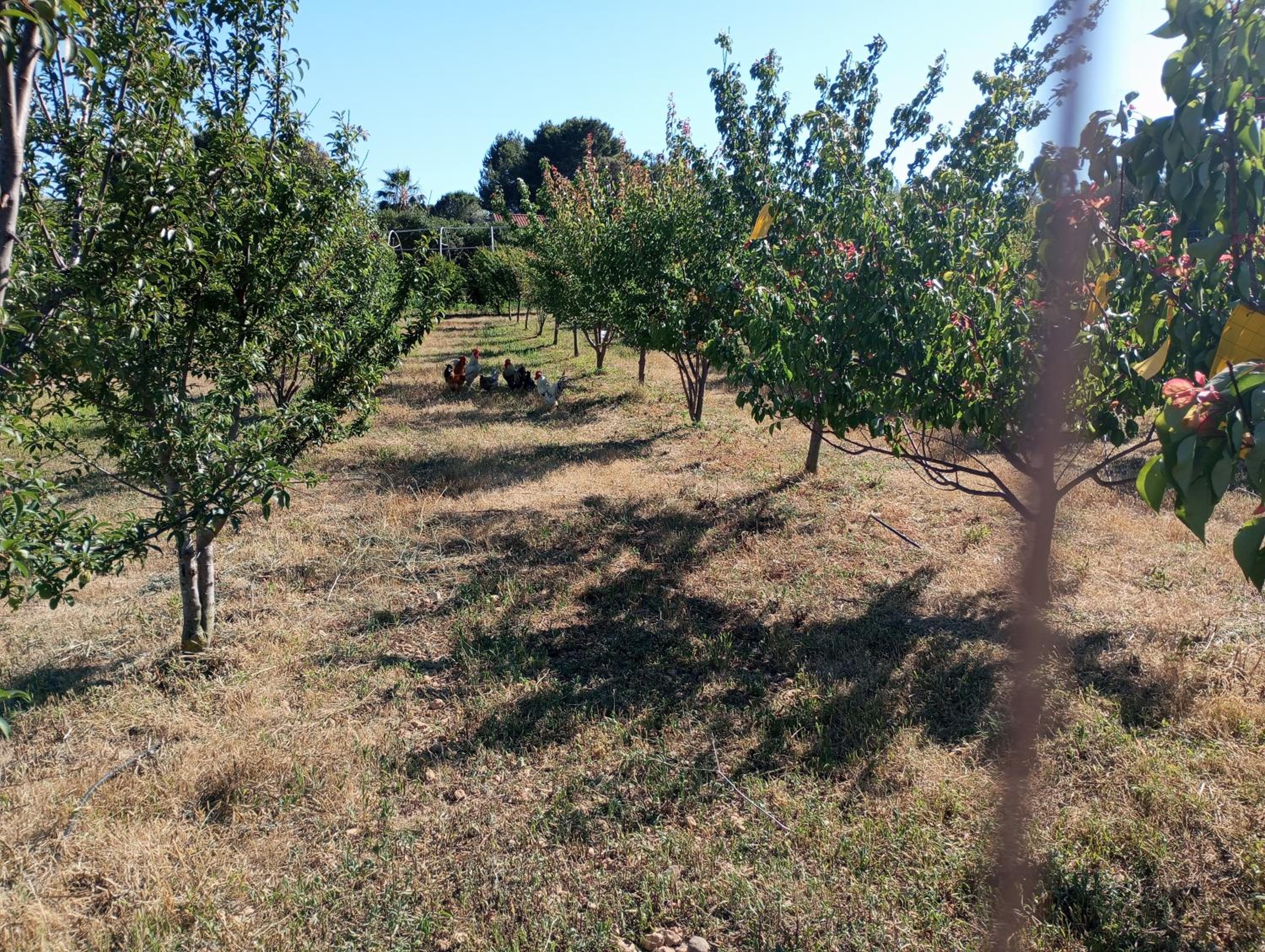 Agriturismo Sannoranna