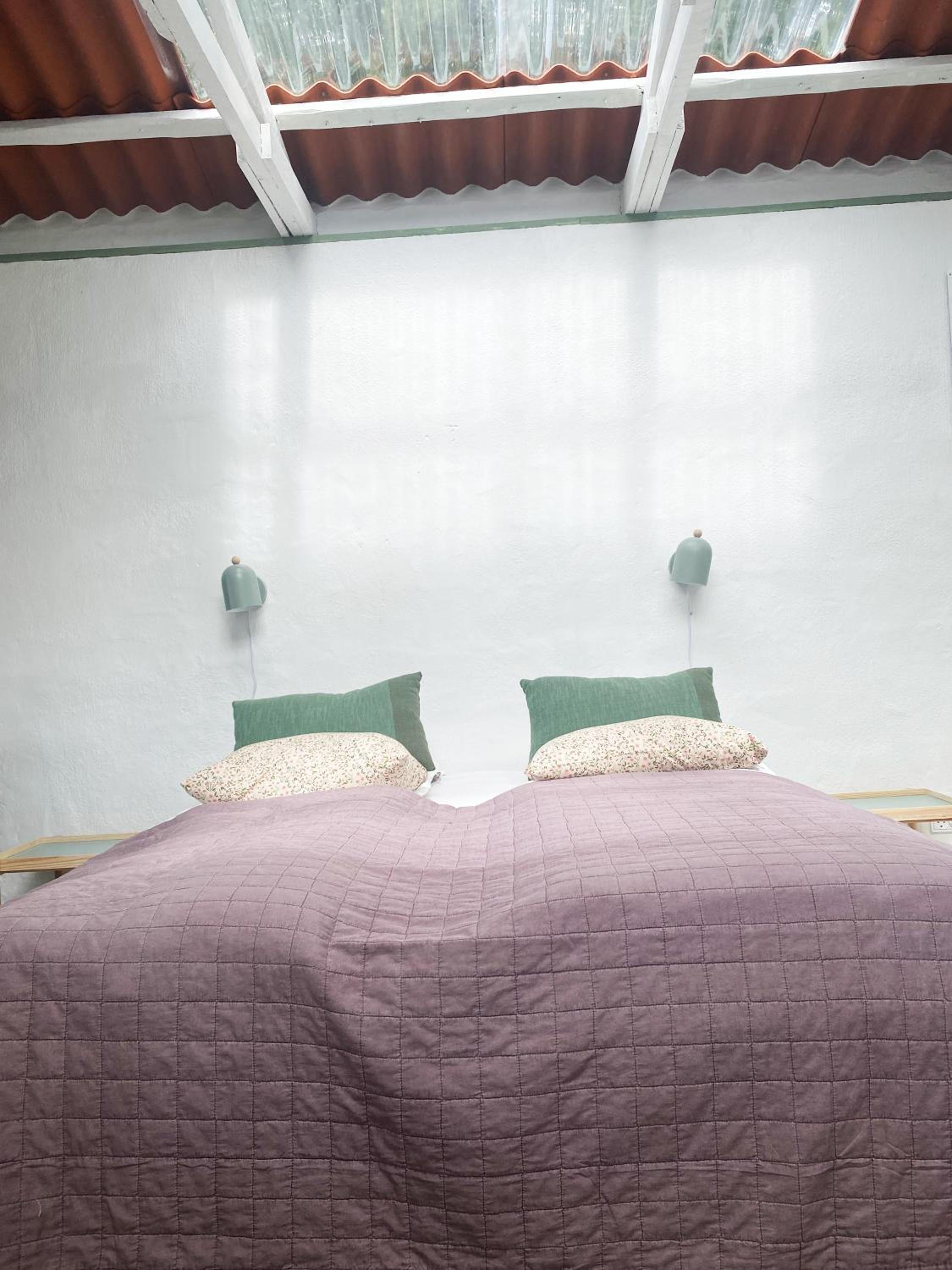 Camønogaarden B&B, darksky cabins and events view 5