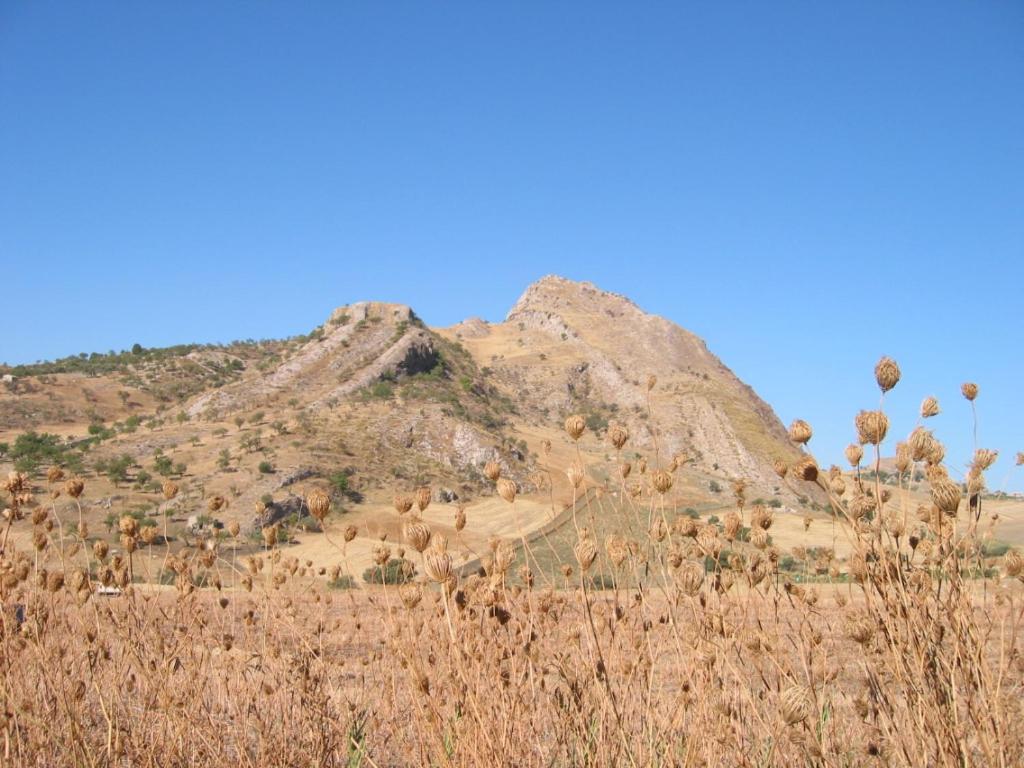 Casa Vacanze Scyauru