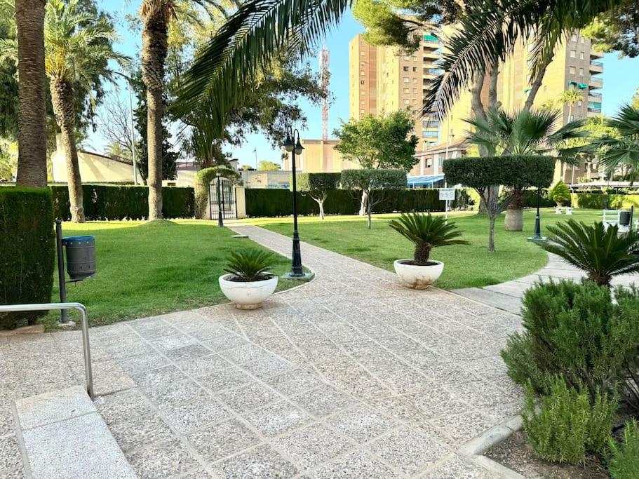 Apart Campoamor Edificio Rhin