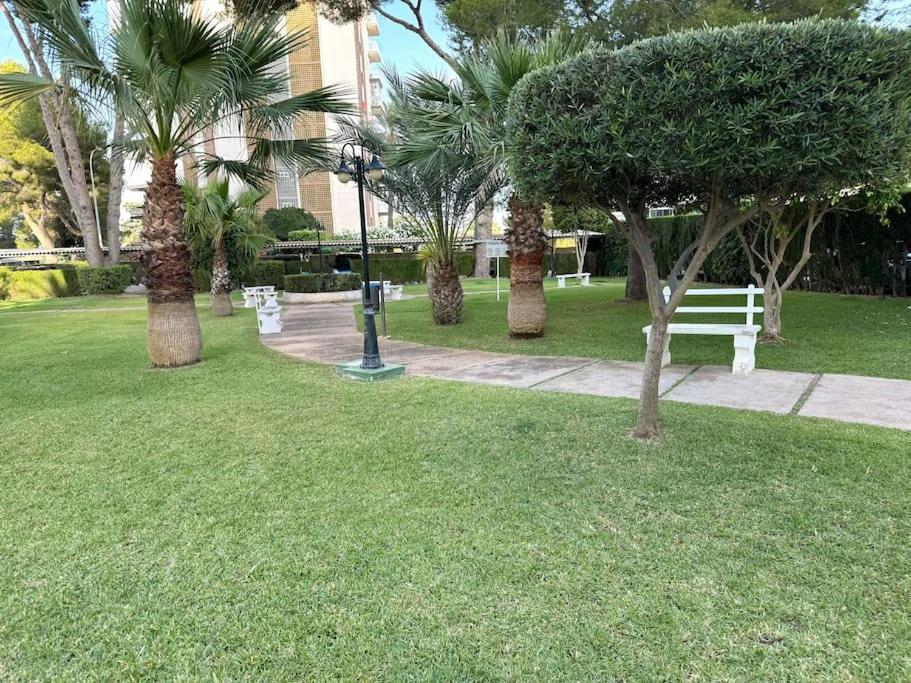 Apart Campoamor Edificio Rhin