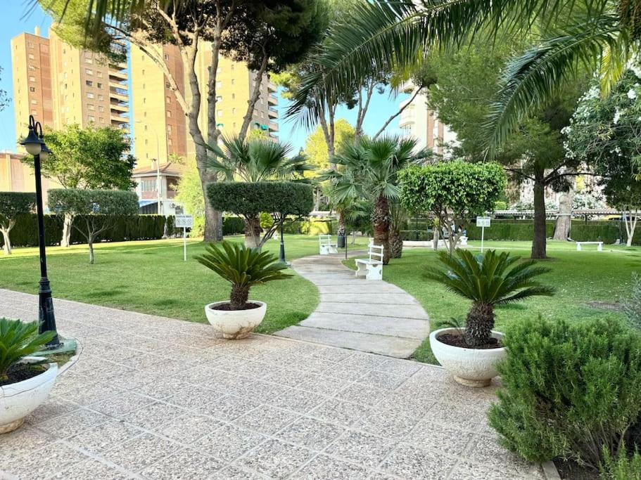 Apart Campoamor Edificio Rhin