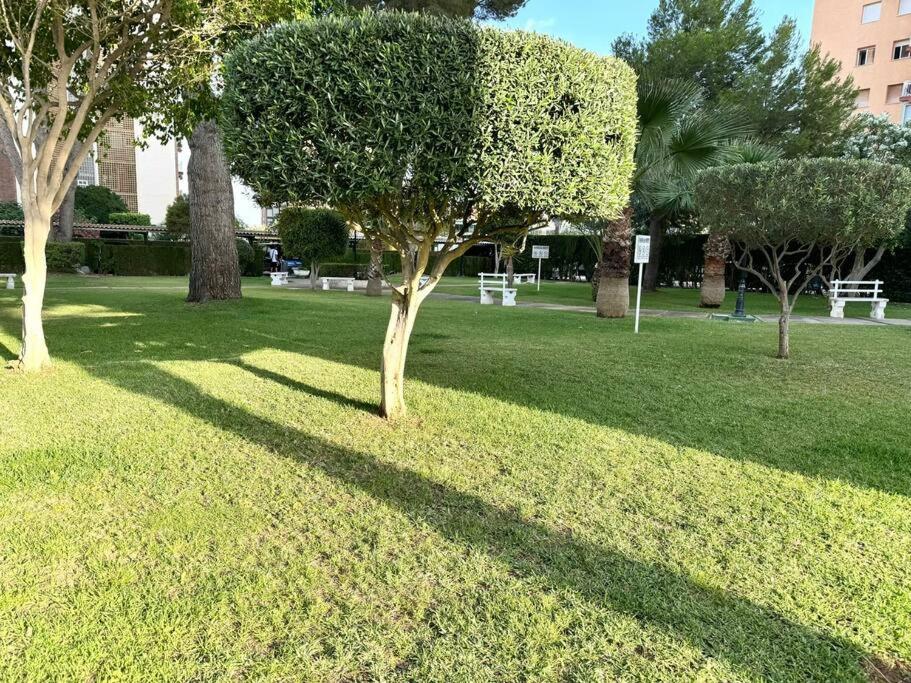 Apart Campoamor Edificio Rhin