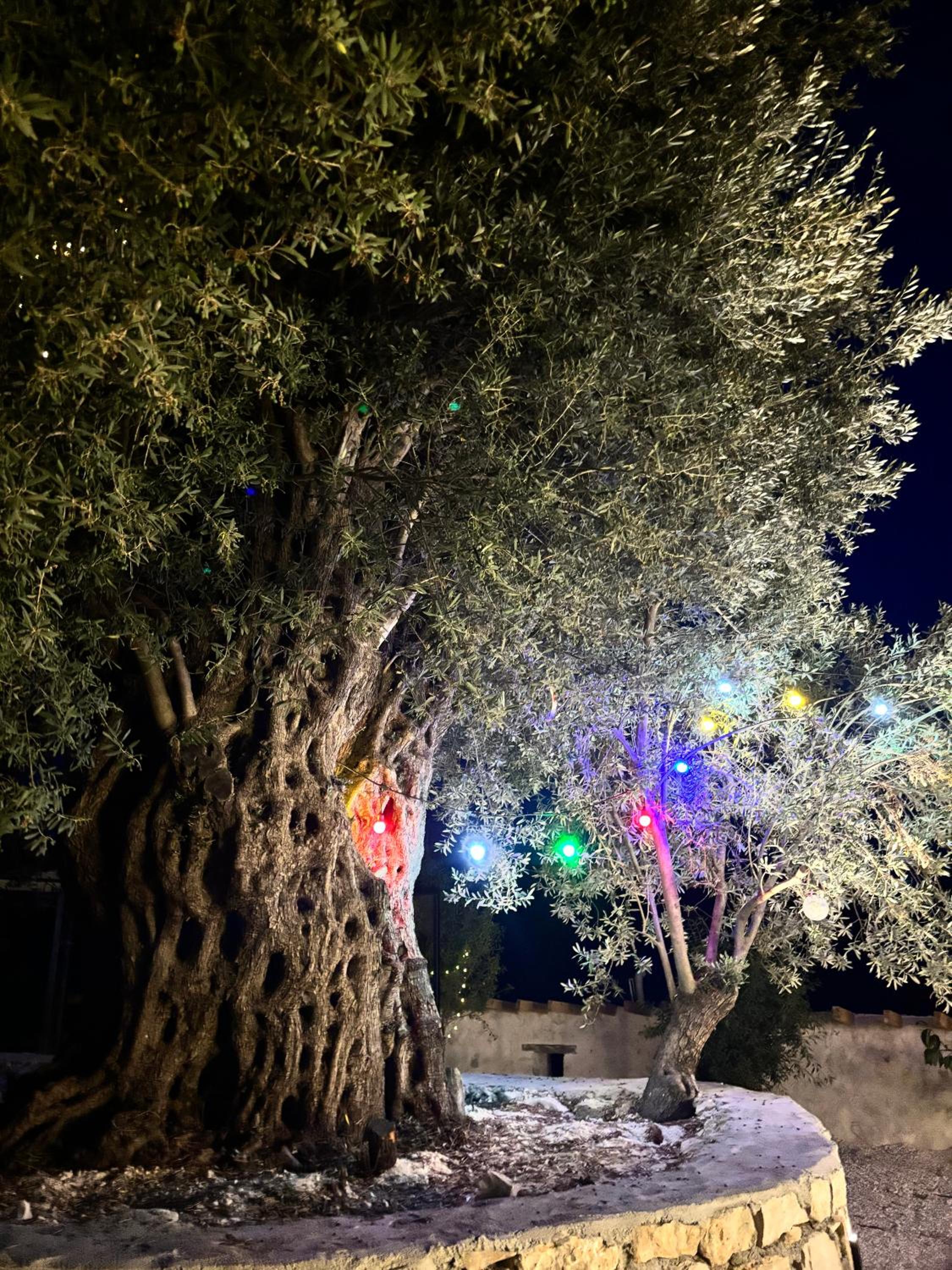 Bademlique Stone Rooms - Image 59