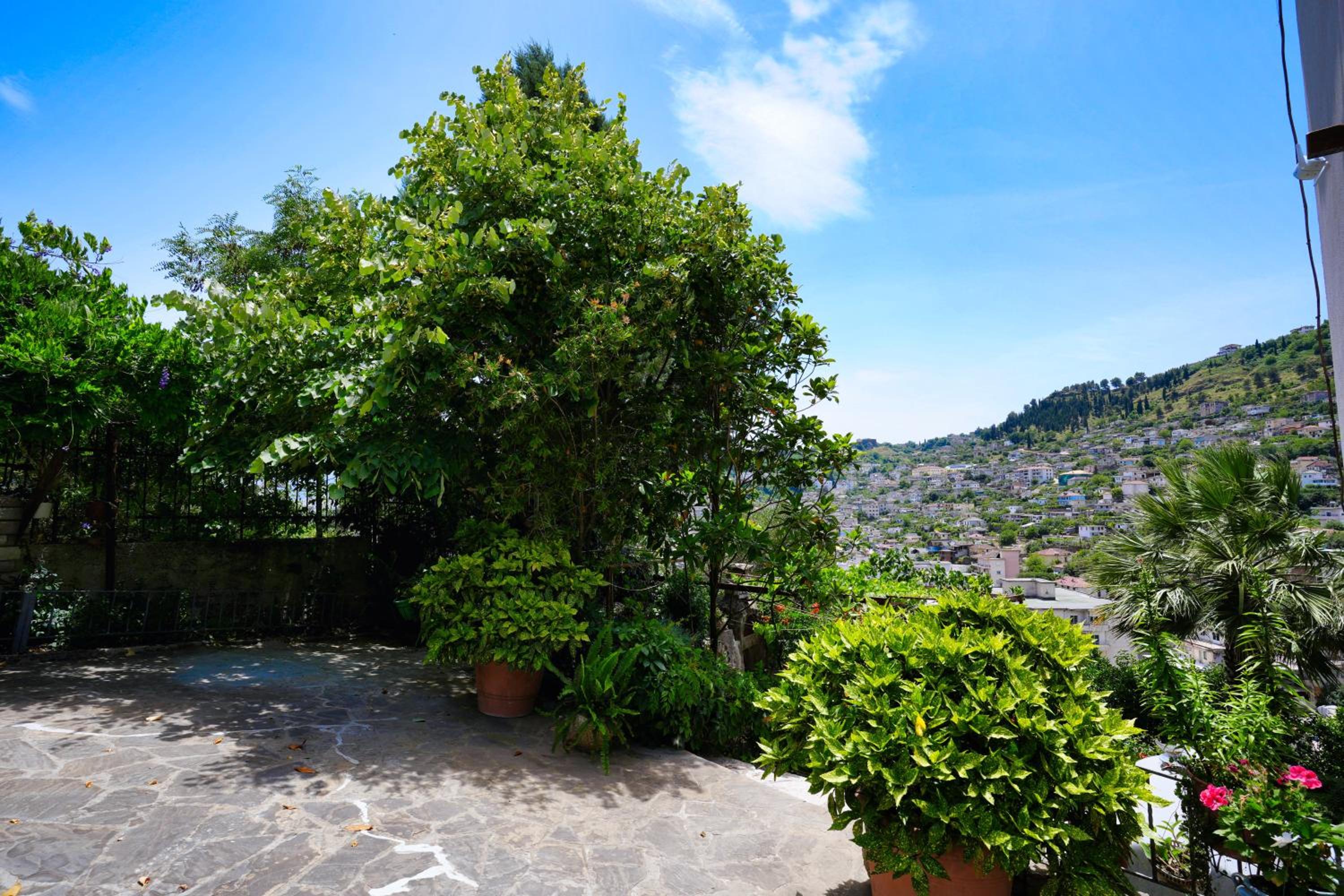 Vila Banushi