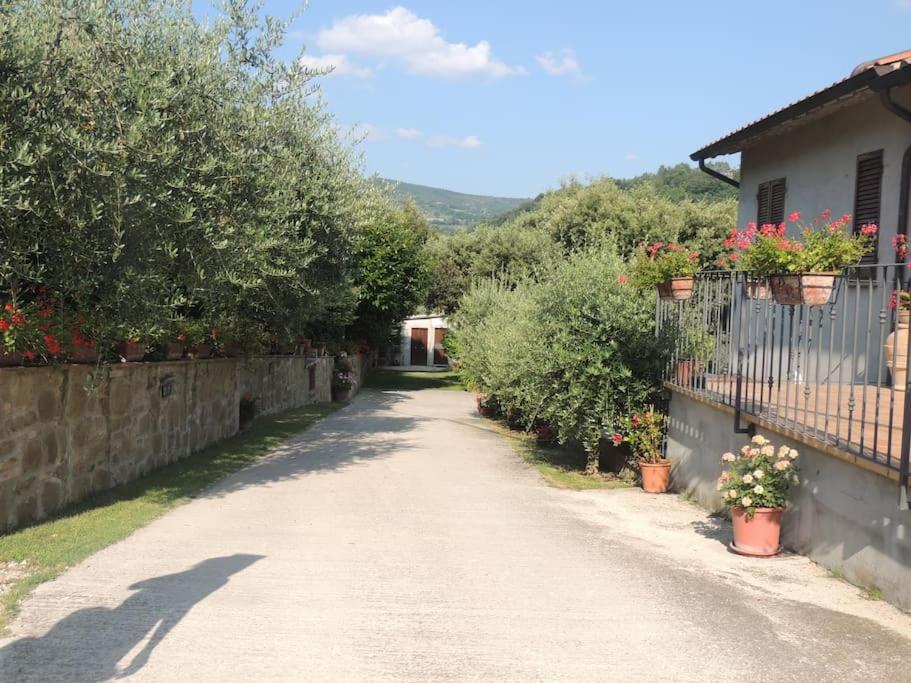 Casa di campagna, Assisi