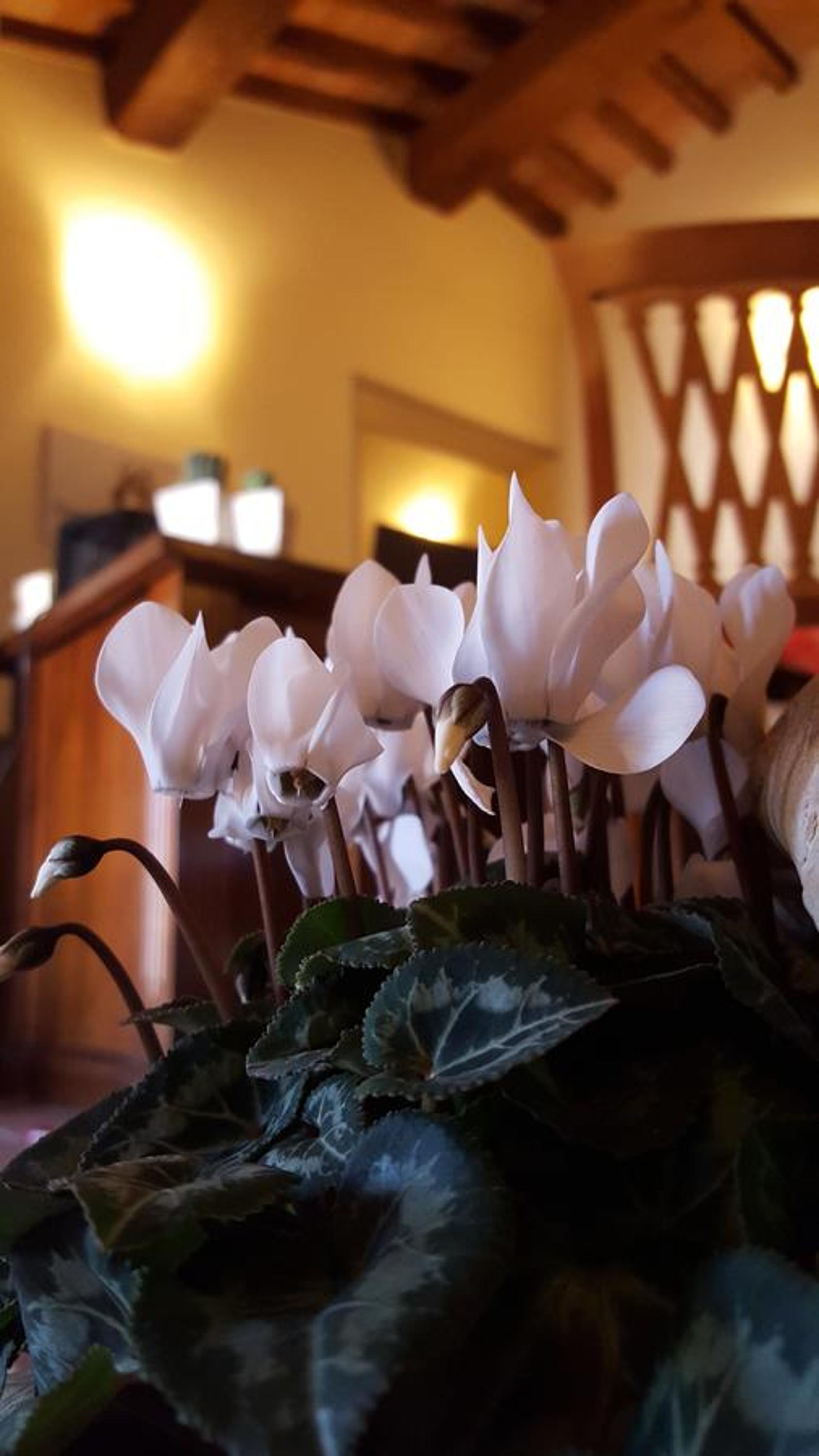 Dimora Fra' Giovanni B&B Relais