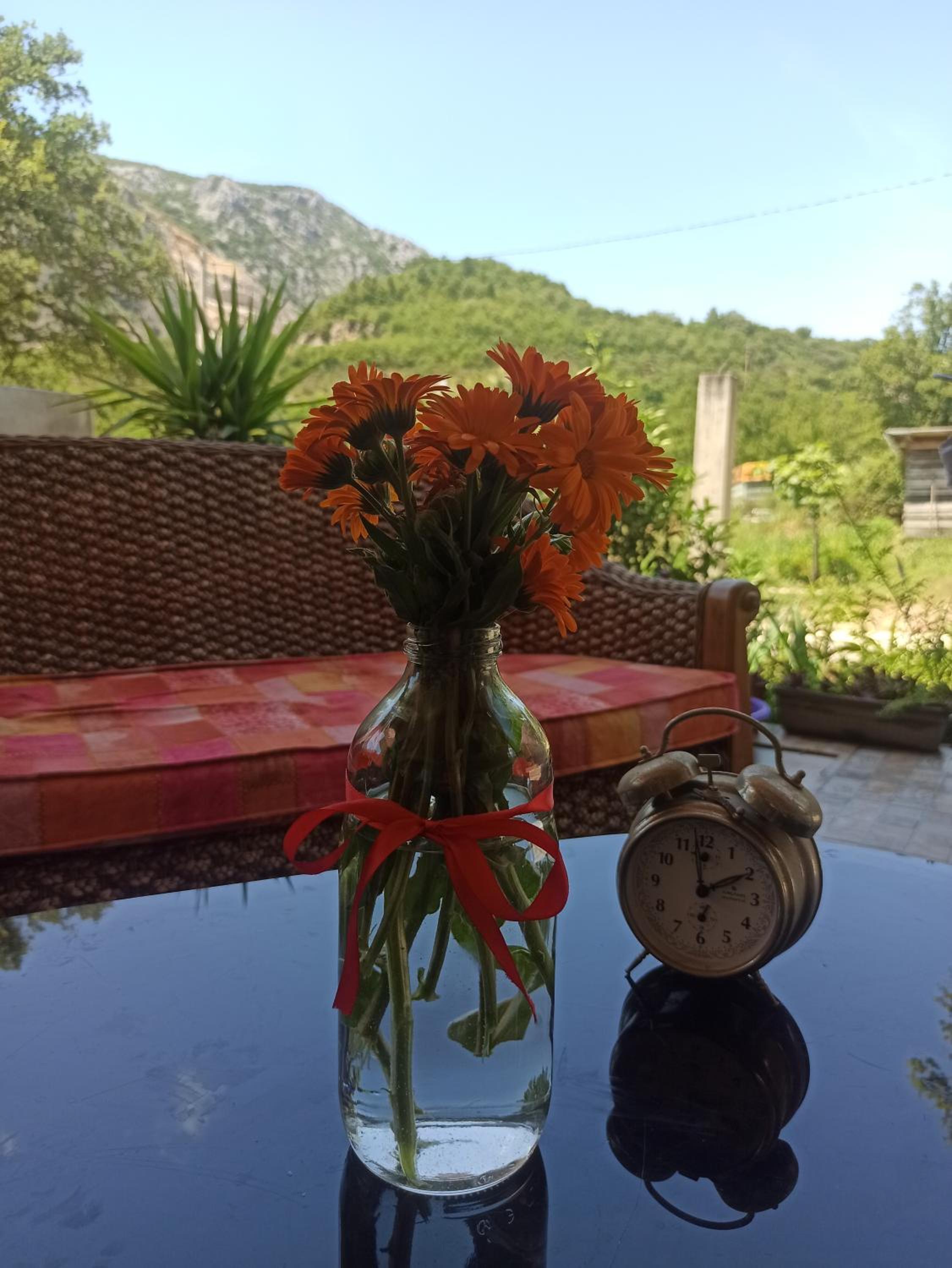 Apartmani Petkovic view 3