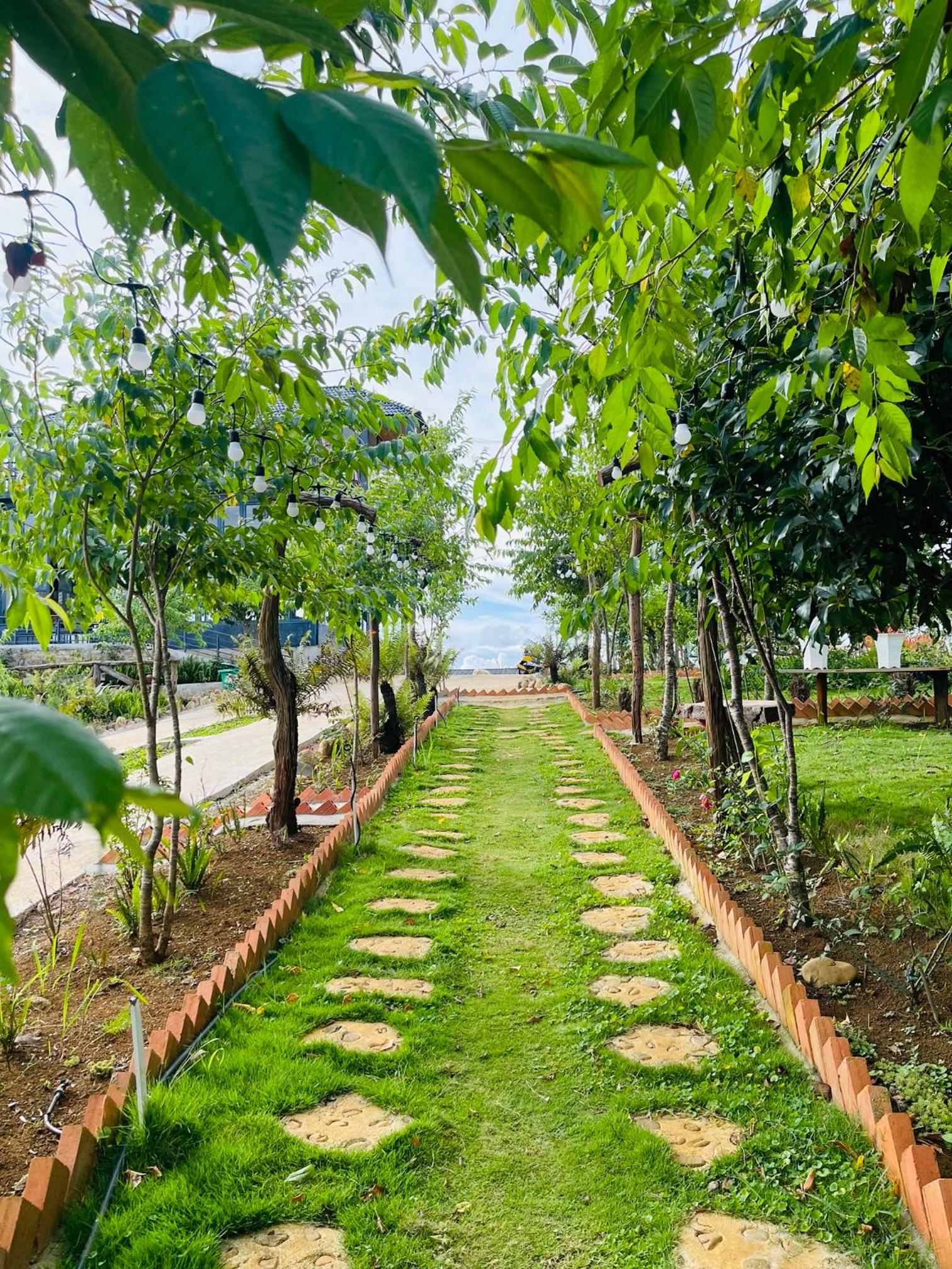 Homestay & Coffee Đồi Xa Phố view 2