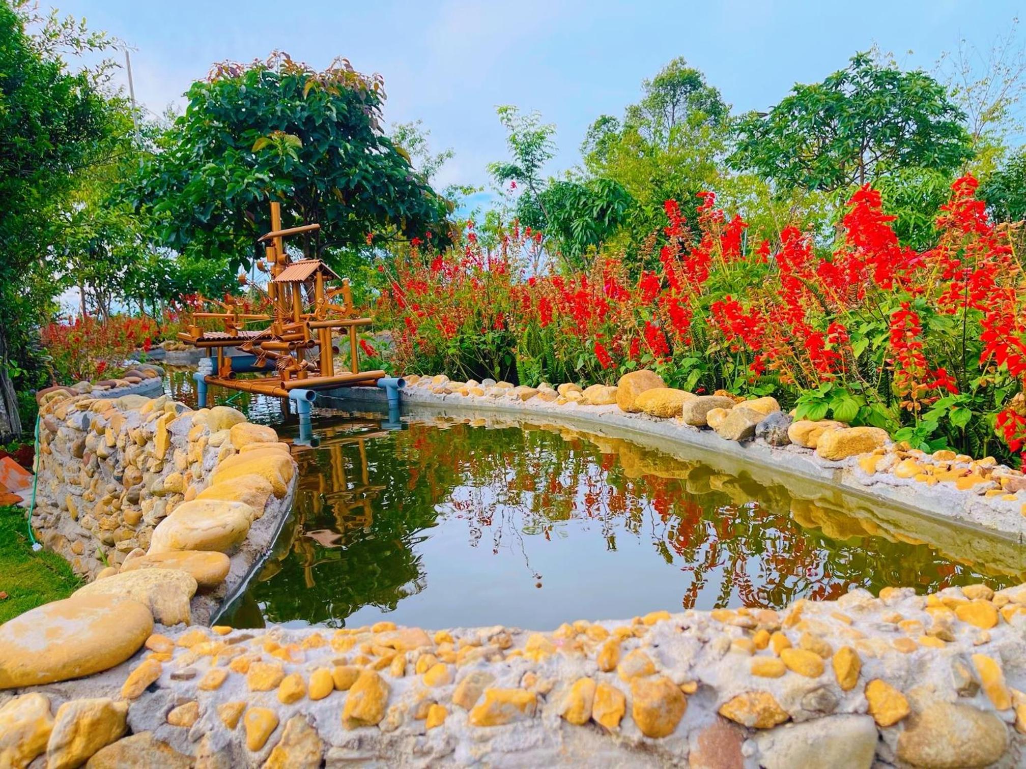 Homestay & Coffee Đồi Xa Phố view 4
