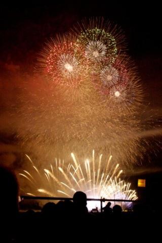 Photo 44