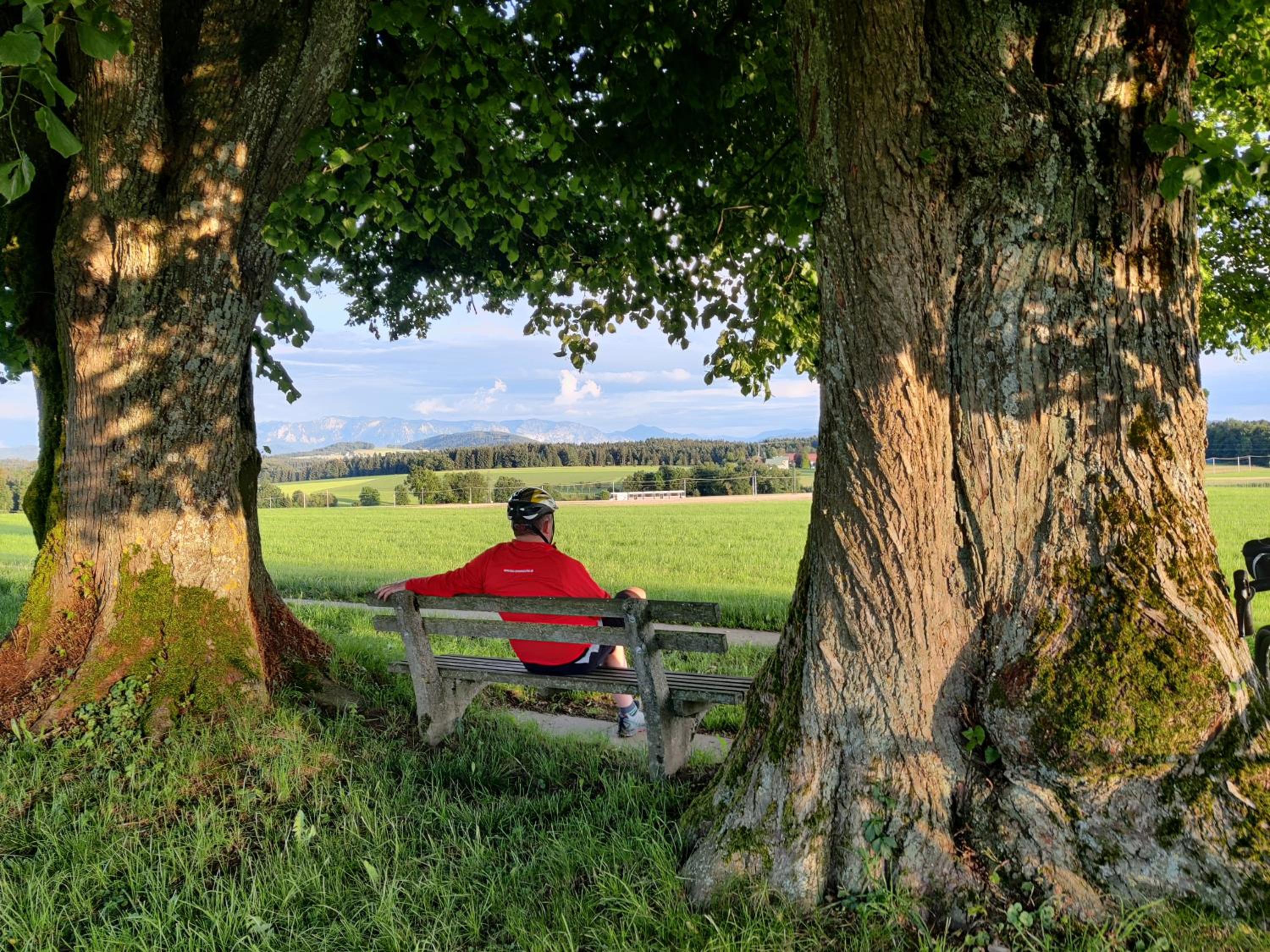 Pension Holzapfel