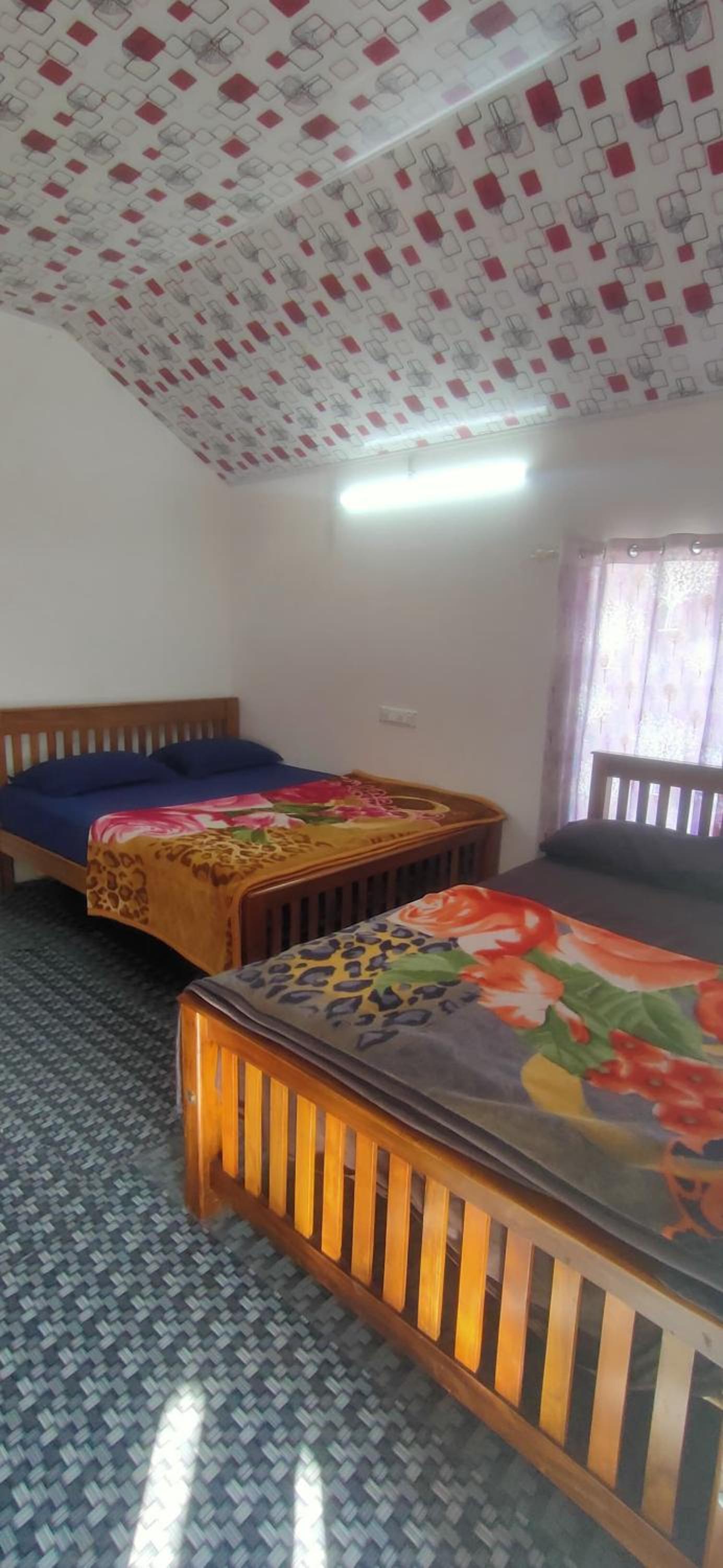 wildcampers cottages