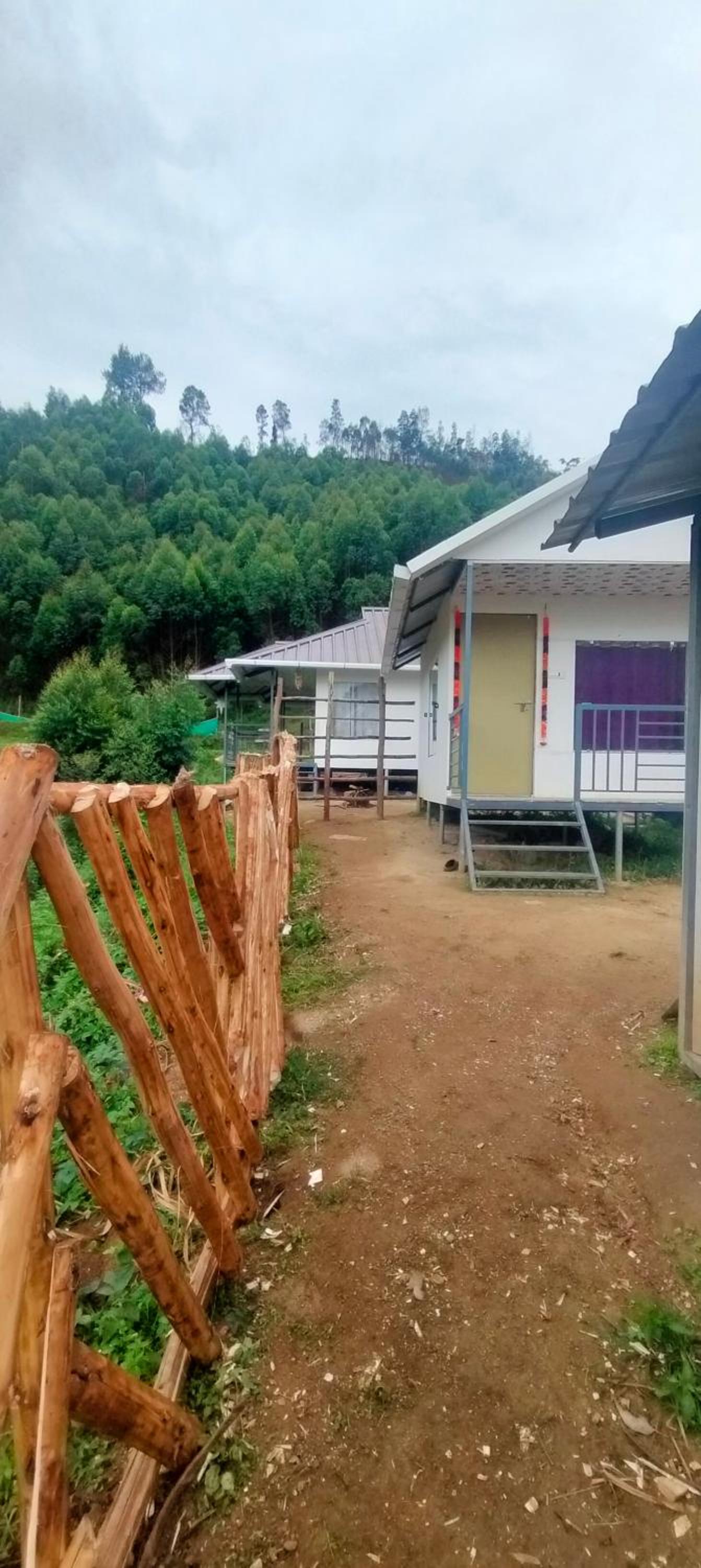 wildcampers cottages