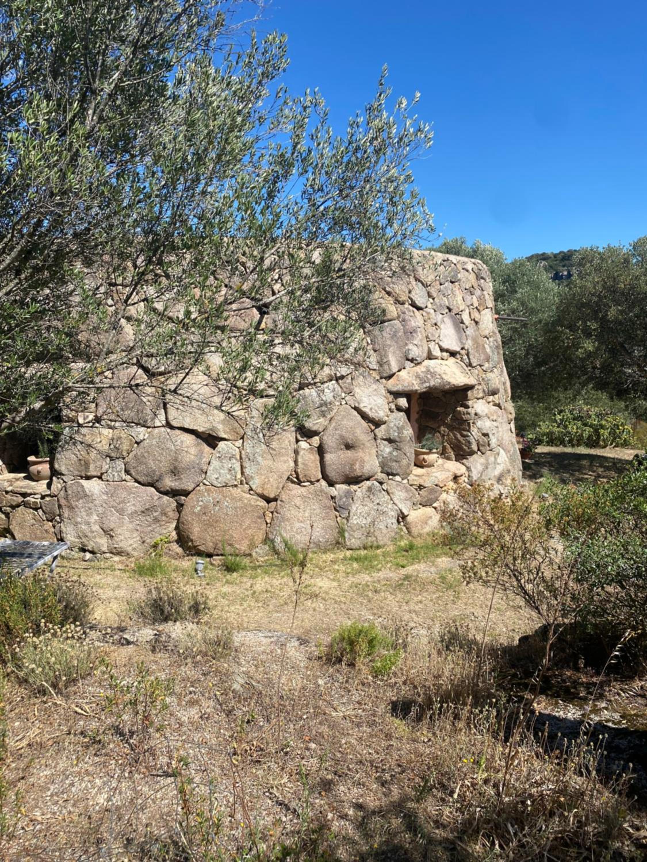 Il Nuraghe del lago Coghinas view 2