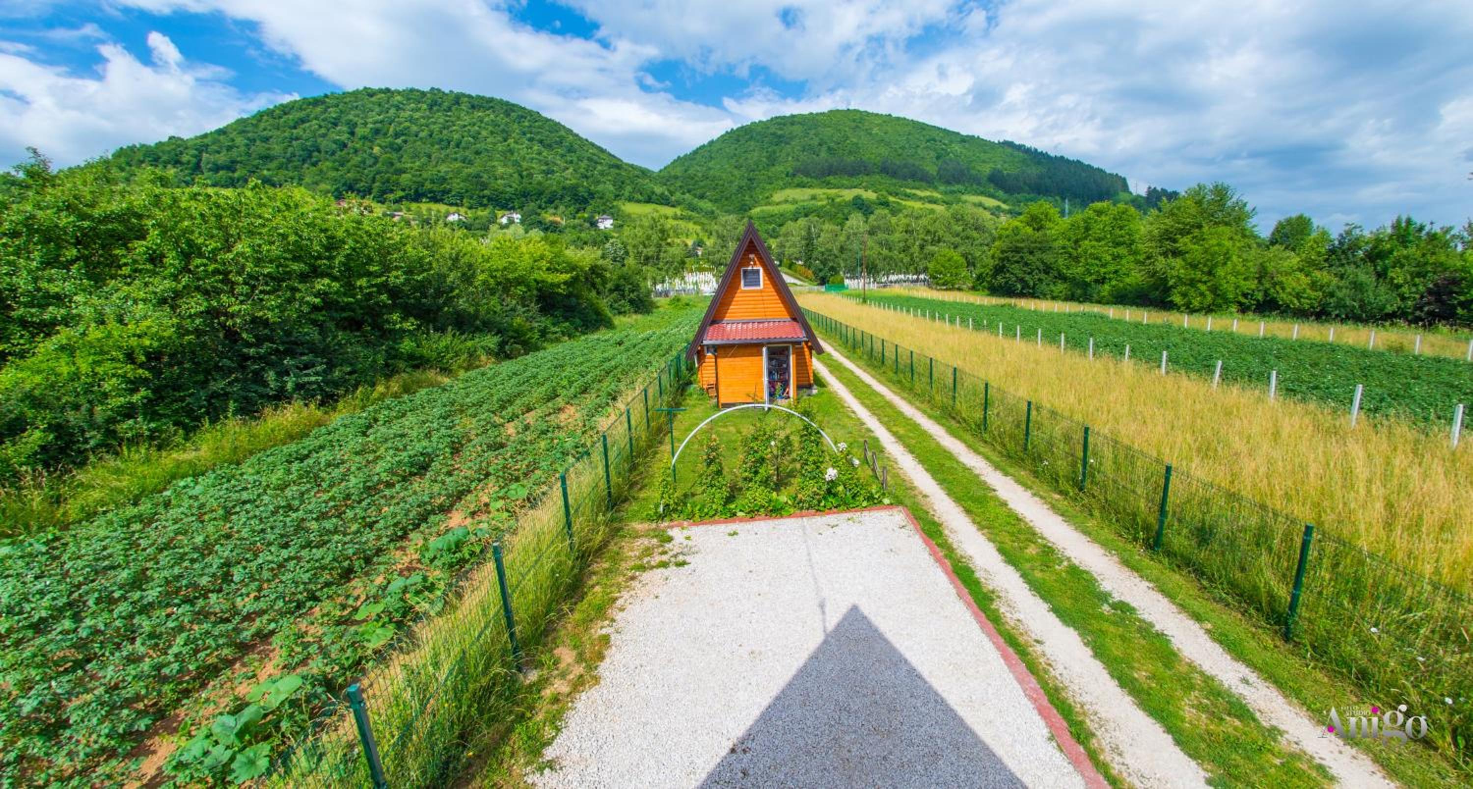 Pyramid Energy House