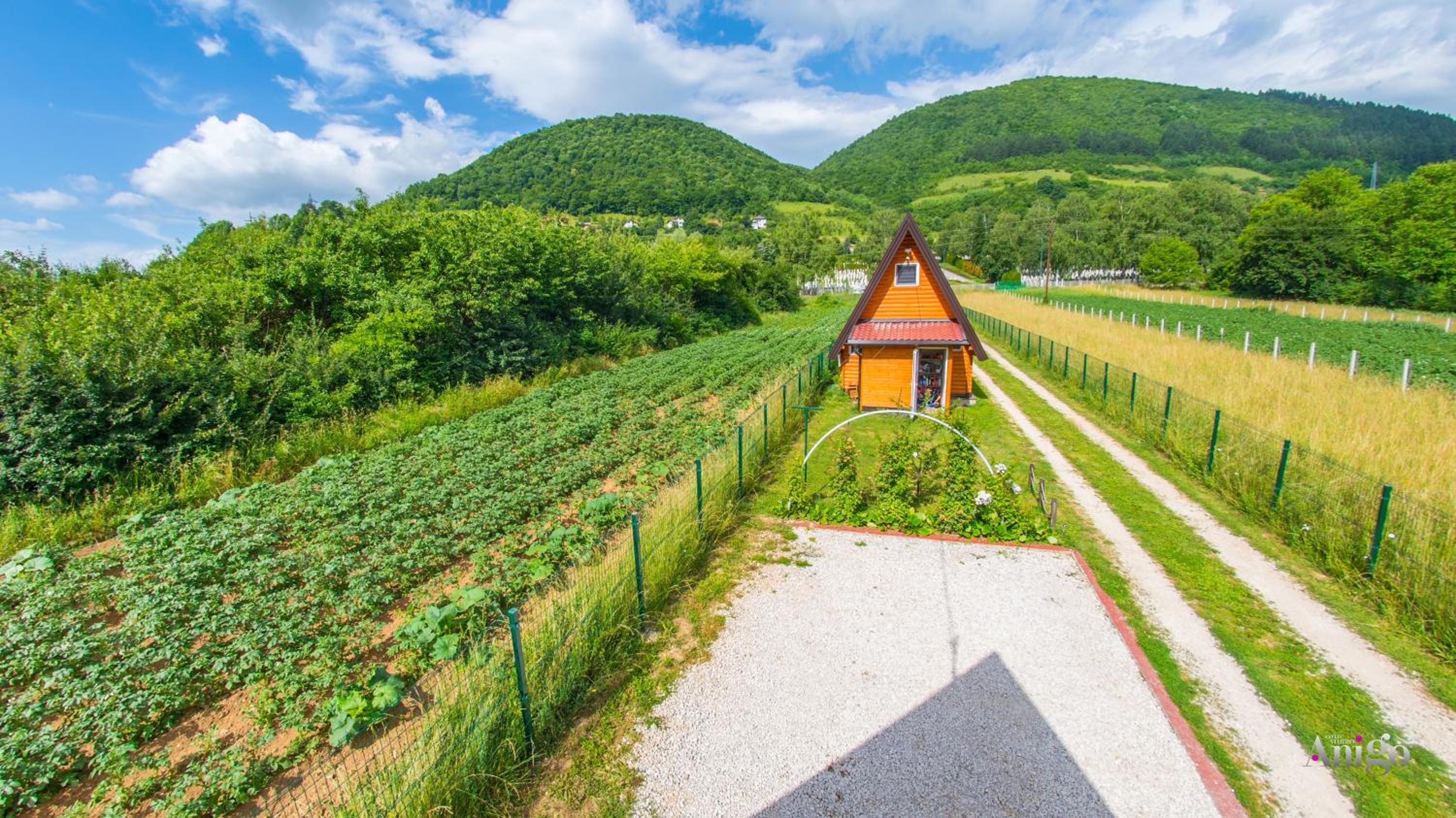 Pyramid Energy House