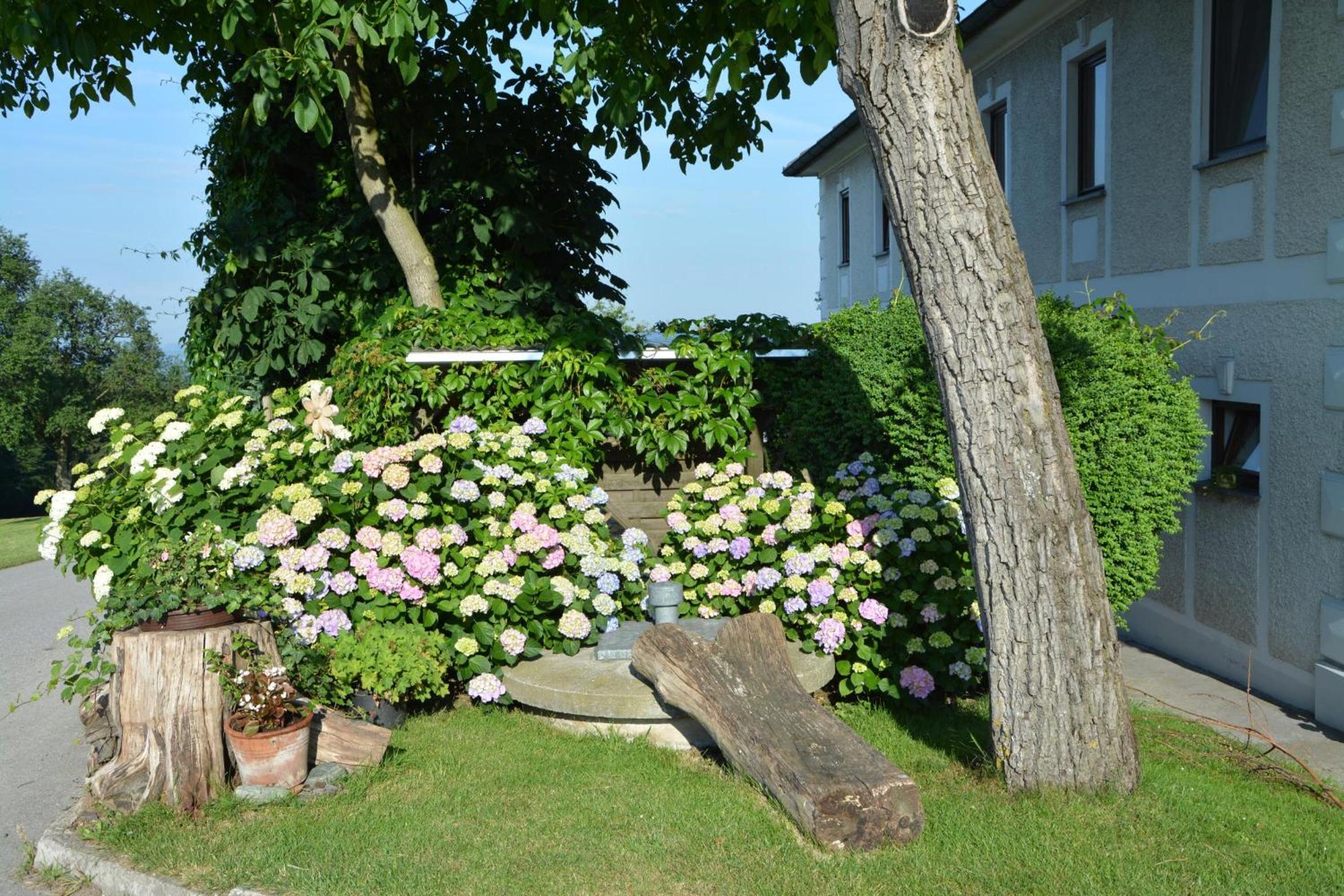 Bio-Bauernhof Haunschmid