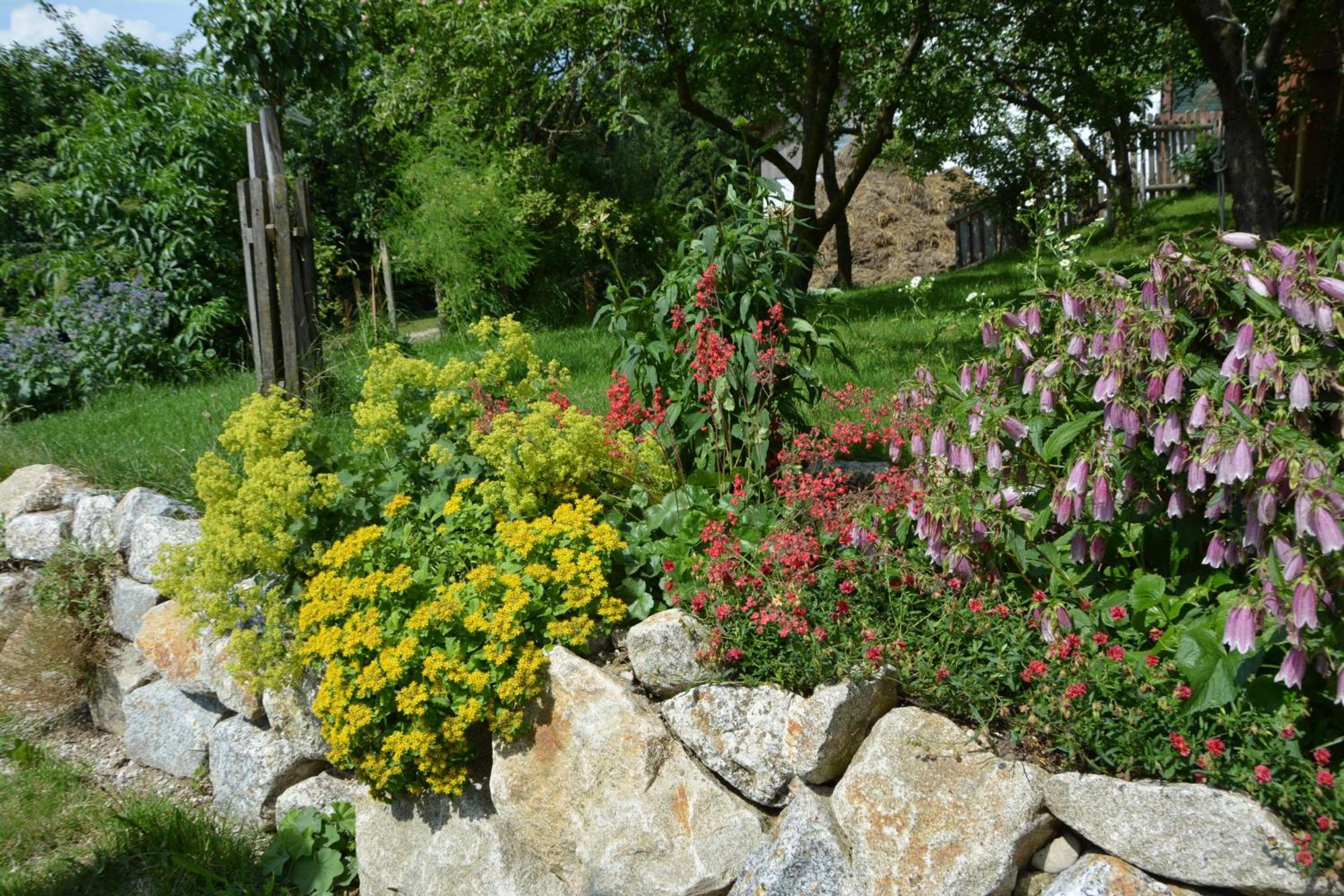 Bio-Bauernhof Haunschmid