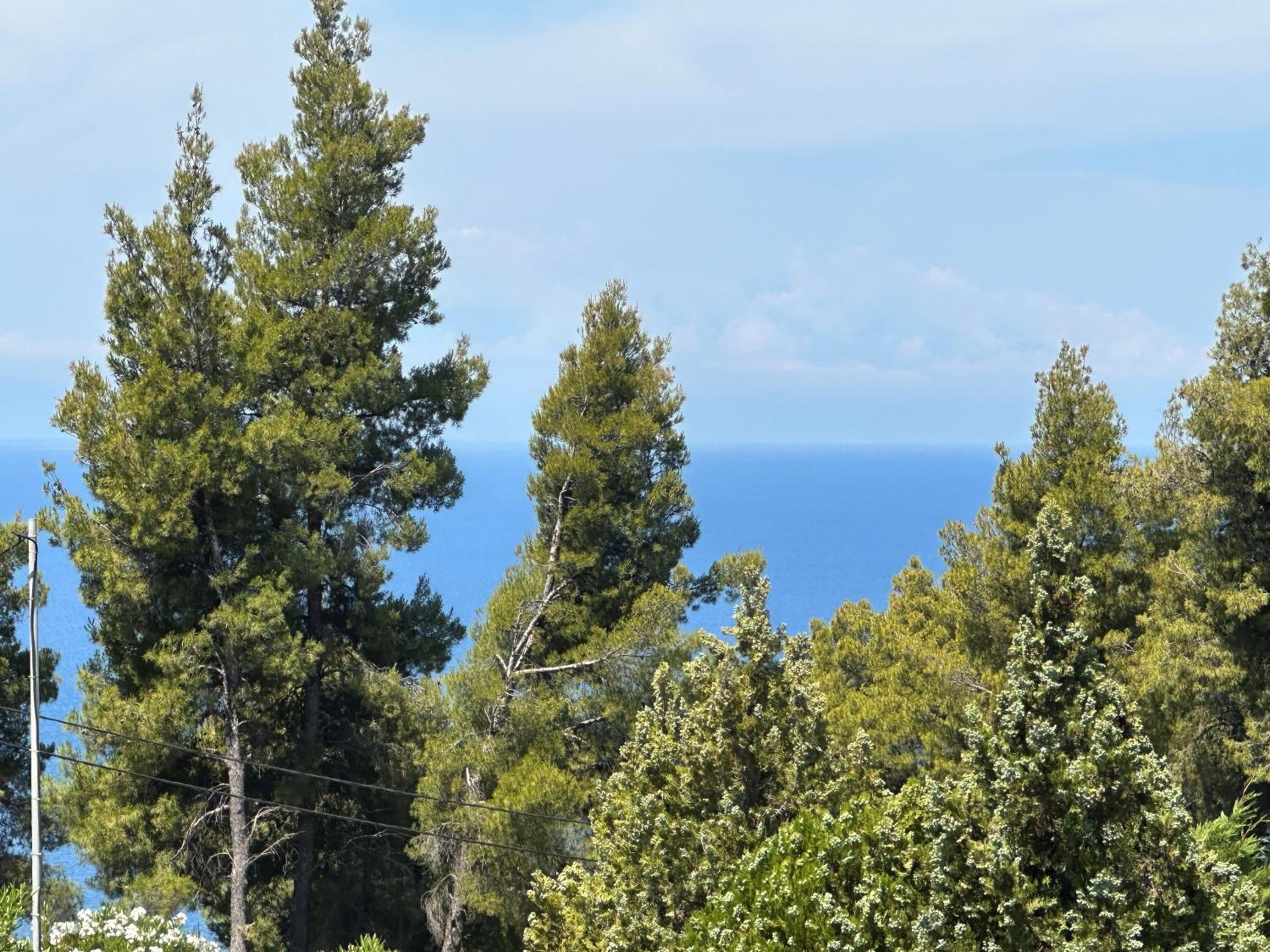 Eden's Oasis view 4