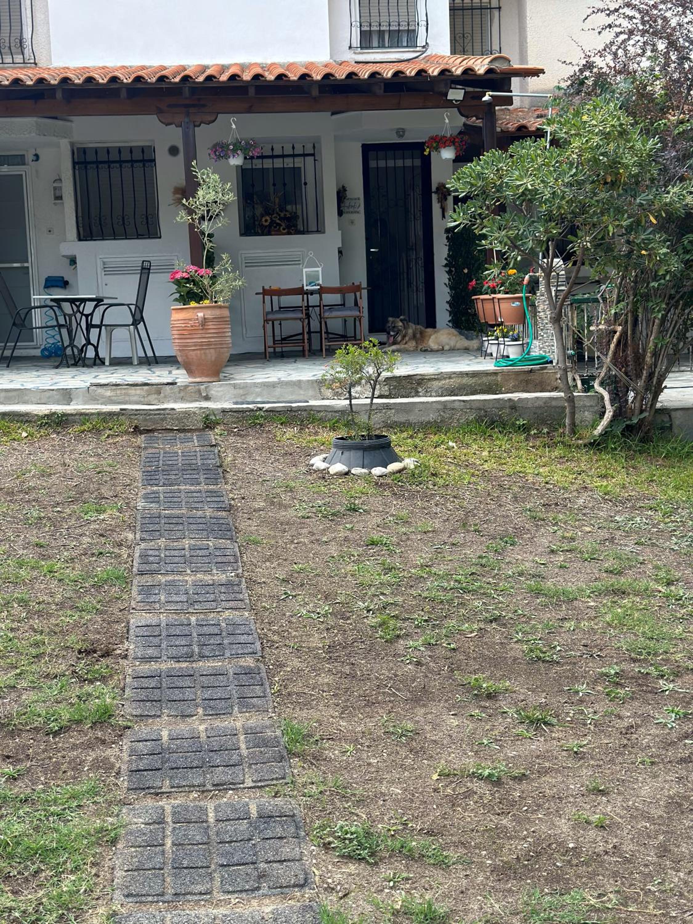 Photo 16