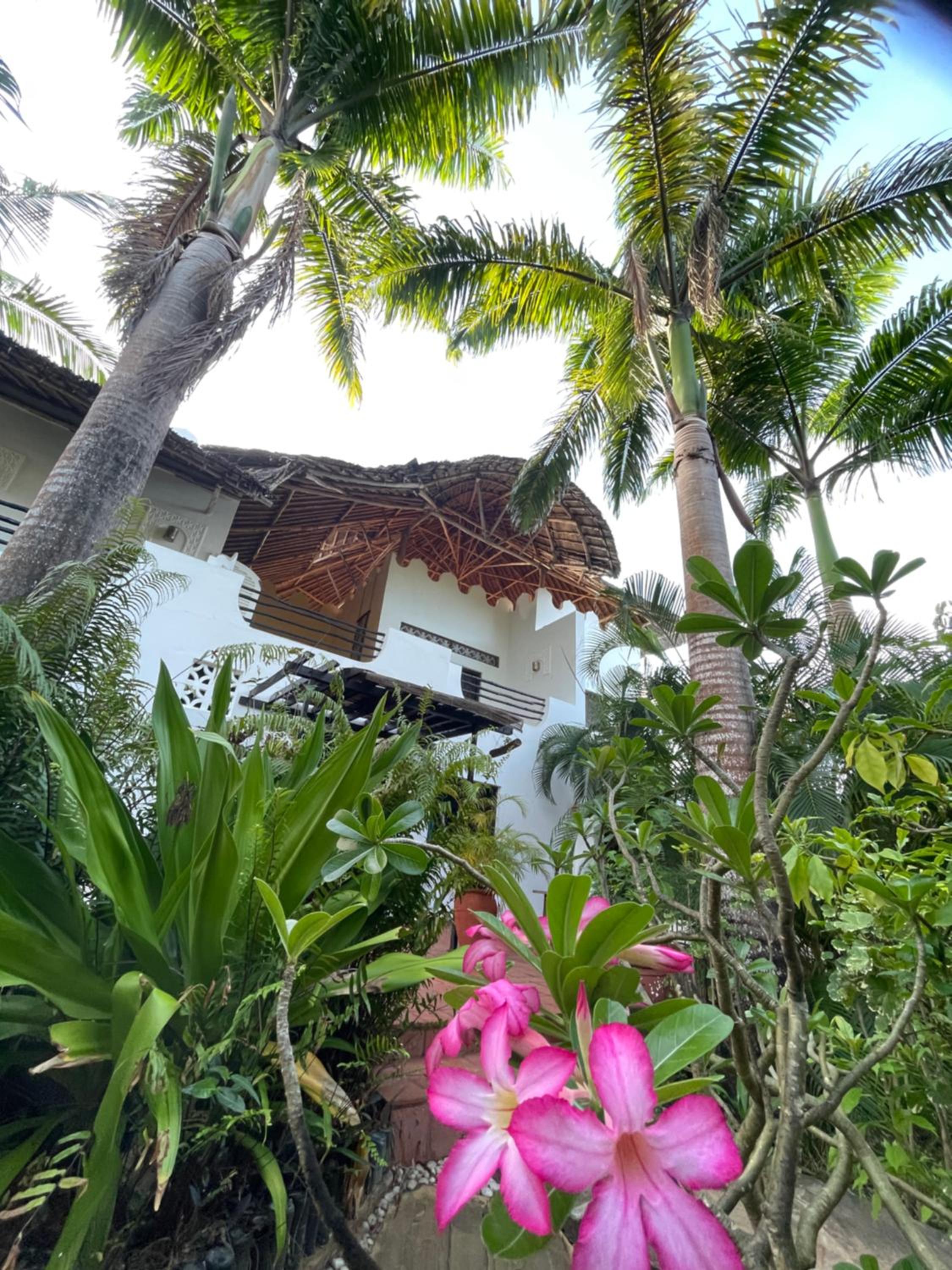 Lamu-style 1 bedroom guesthouse in the center of Diani view 2