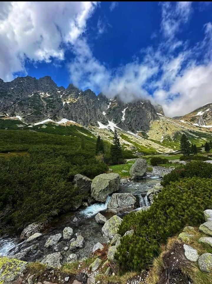 Photo 45