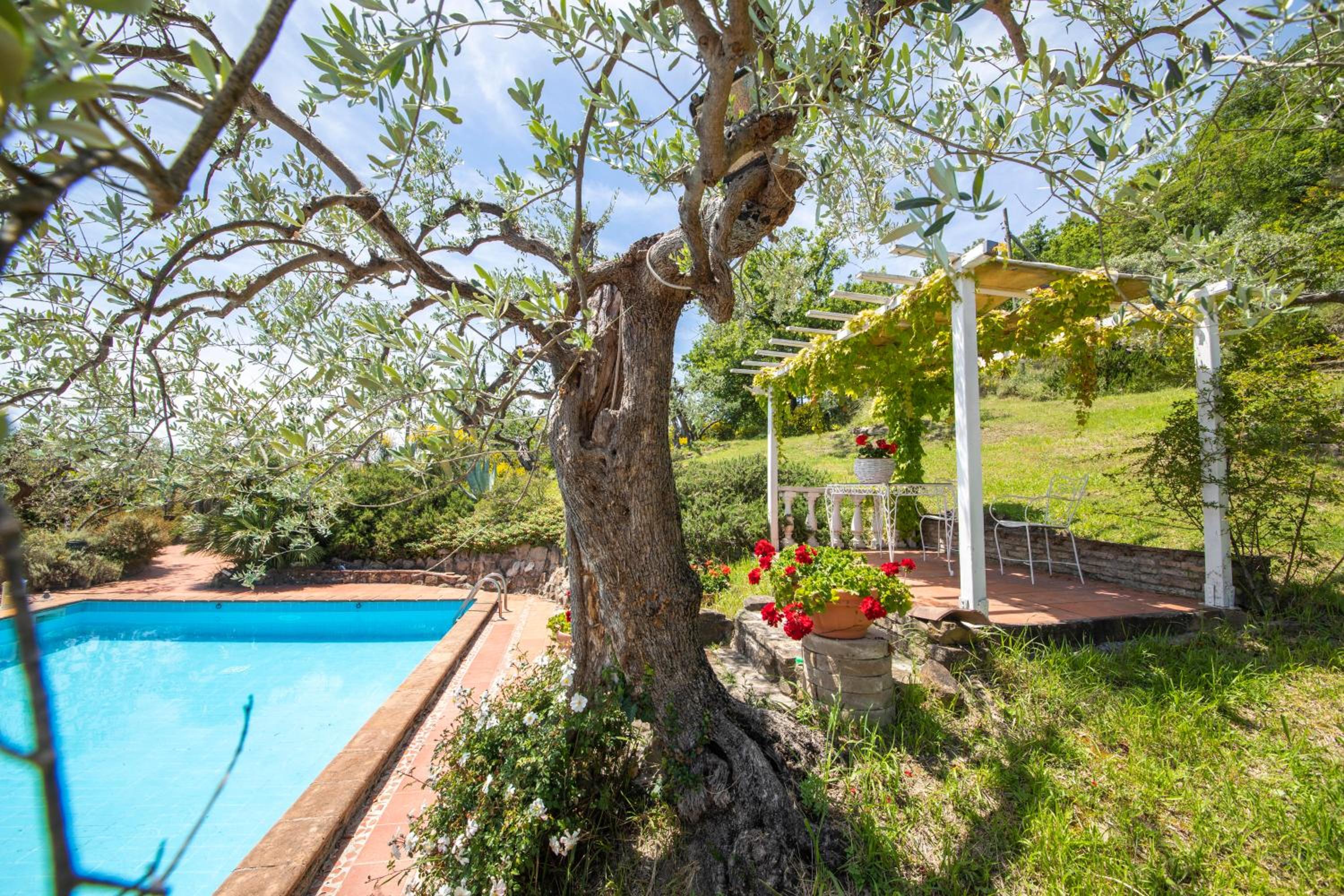 Locanda dell'Angelo view 5