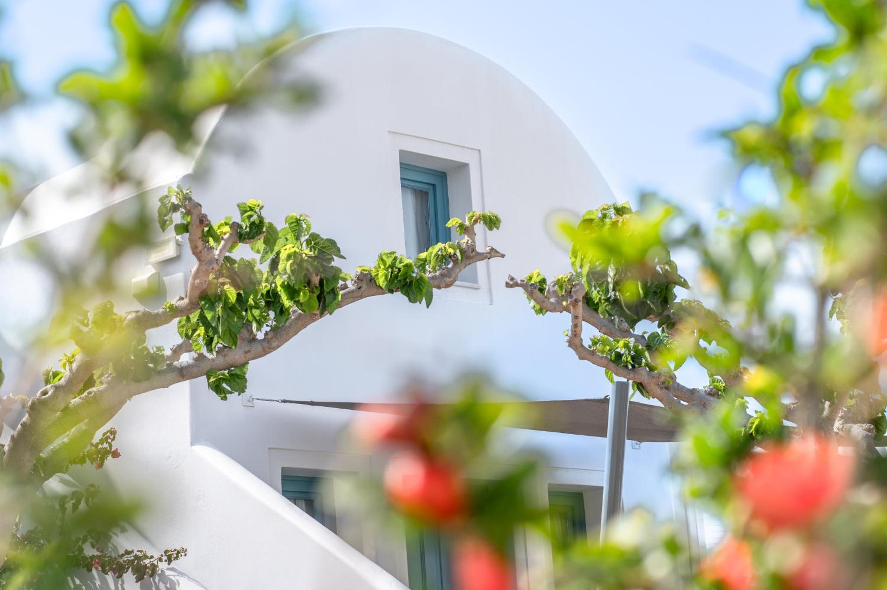 Adagio Villas Kamari