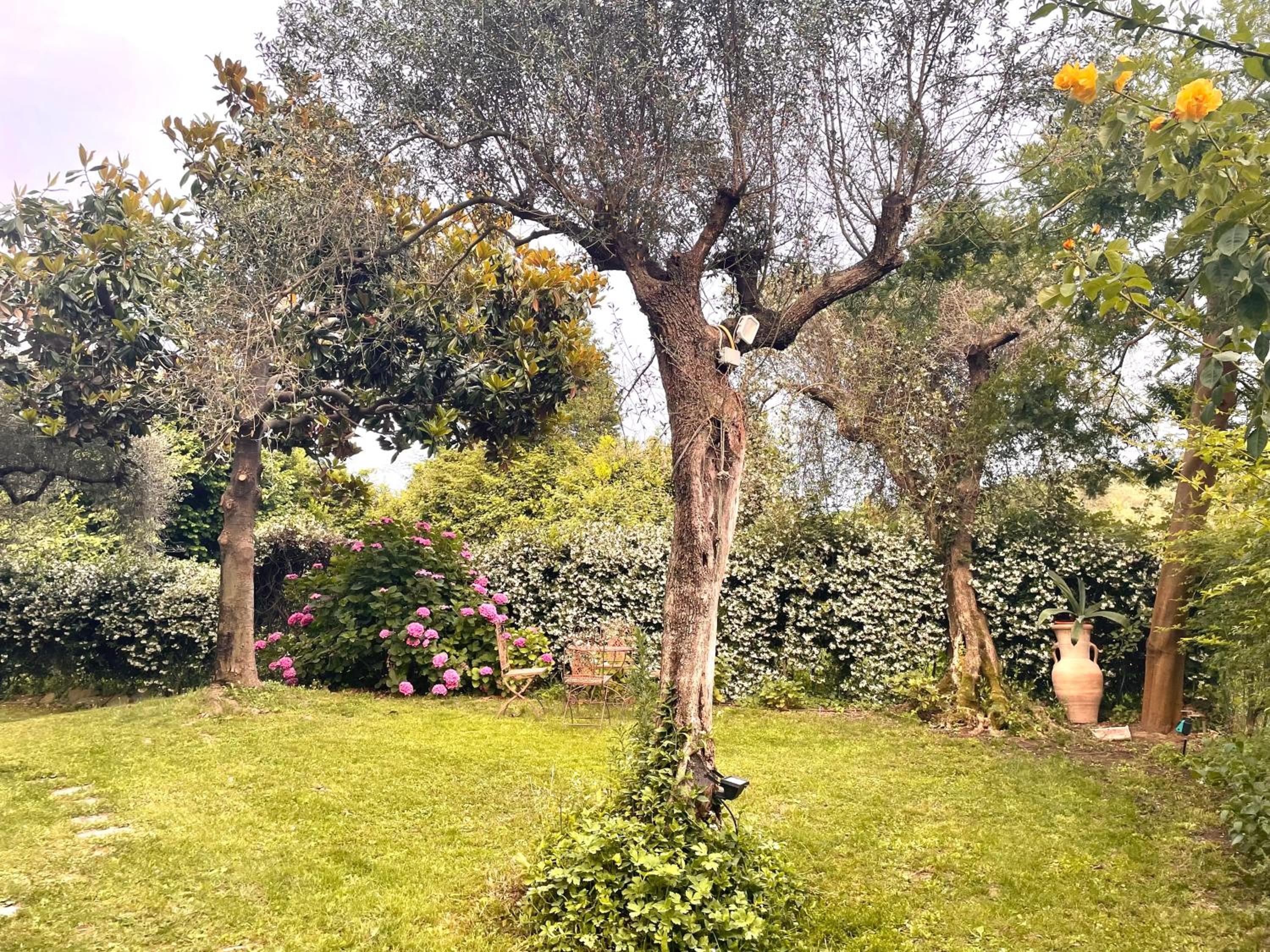 Villa Vecchia Fontana al mare - Tra Liguria e Toscana tra Viaregggio, Forte dei Marmi e Cinque Terre- Haus am Meer bei la Spezia