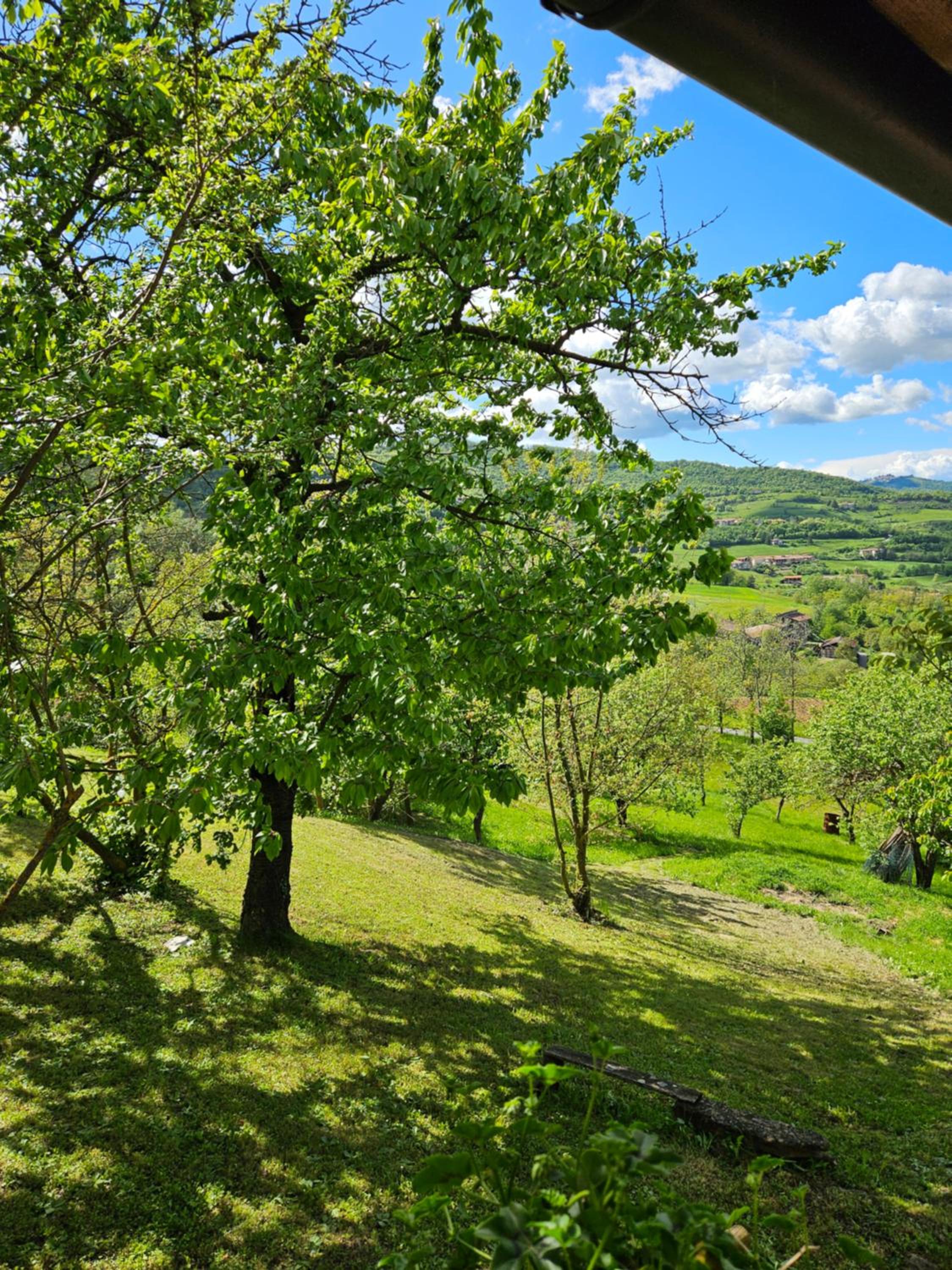 Casa dei Ciliegi photo 2
