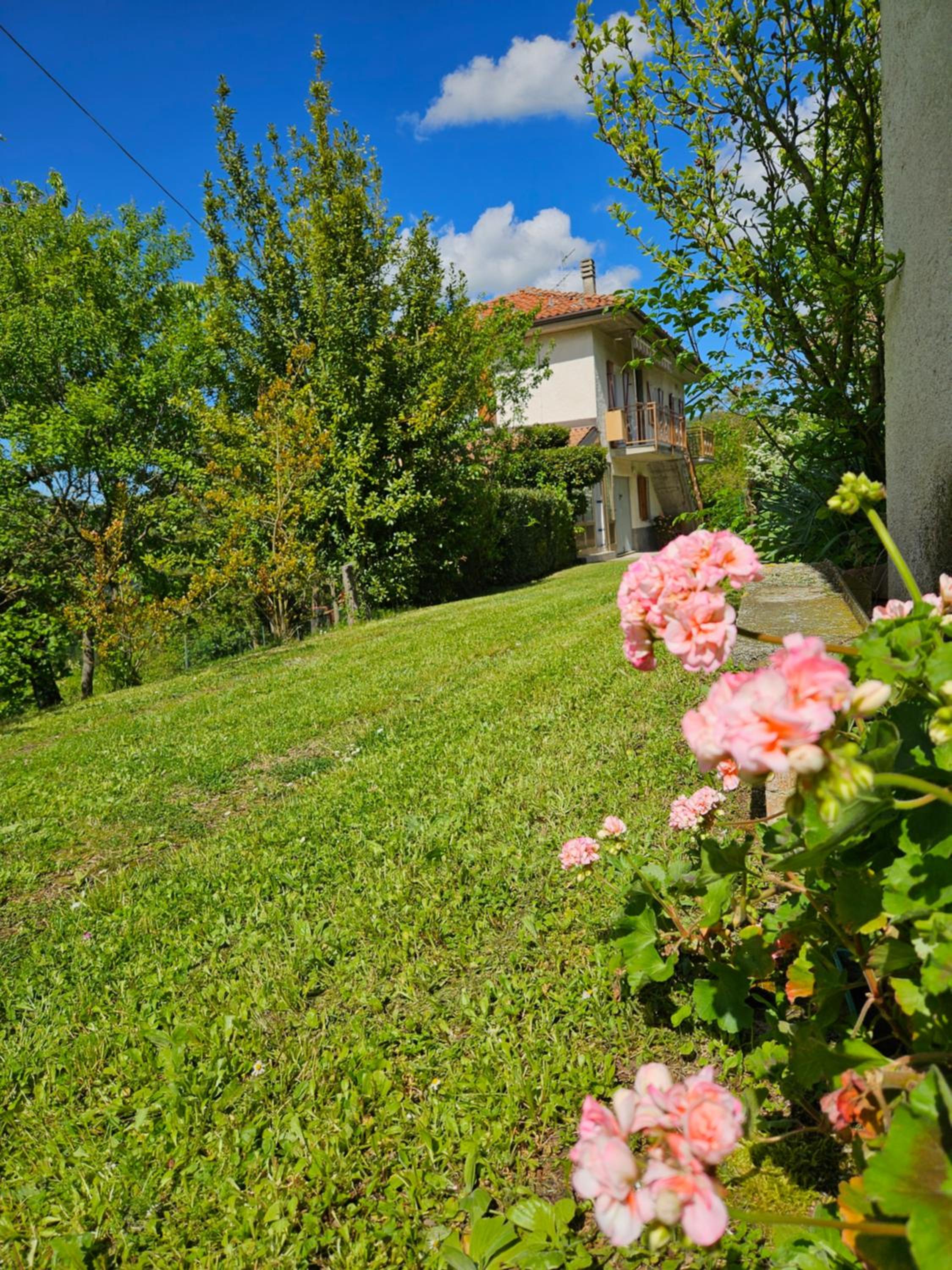 Casa dei Ciliegi photo 3